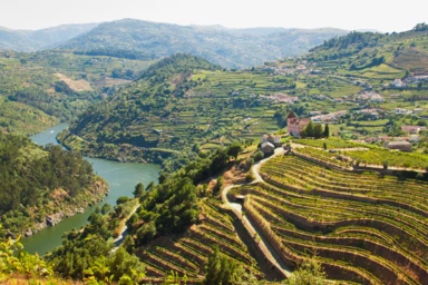 Country Roads Of Portugal