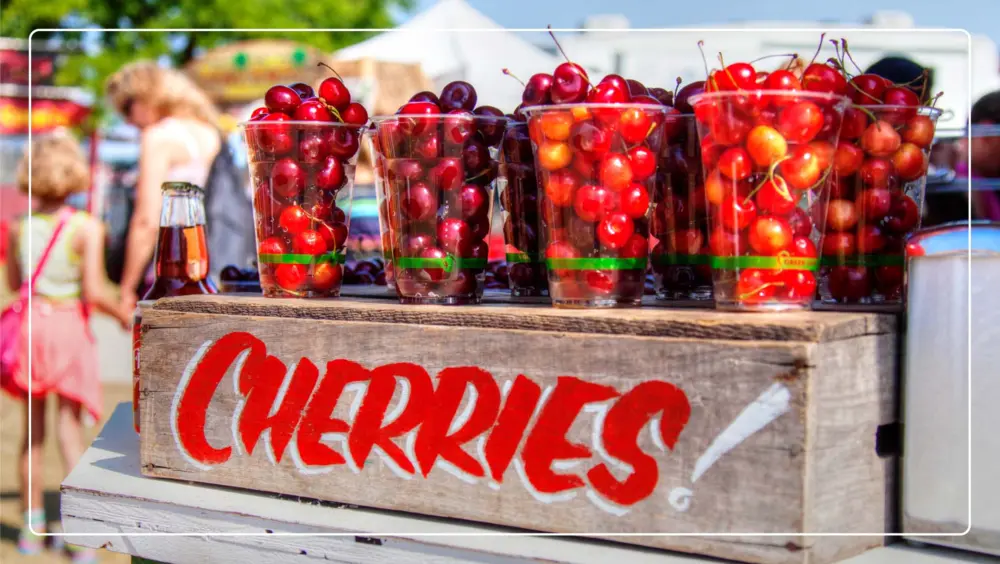 Fresh cherries in a cup for sale in Traverse City.