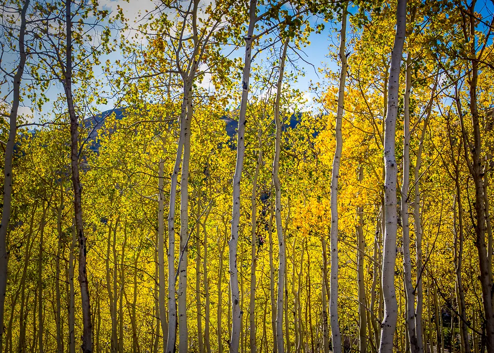 Park City, Utah, Fall Colors, Mountains, Landscape