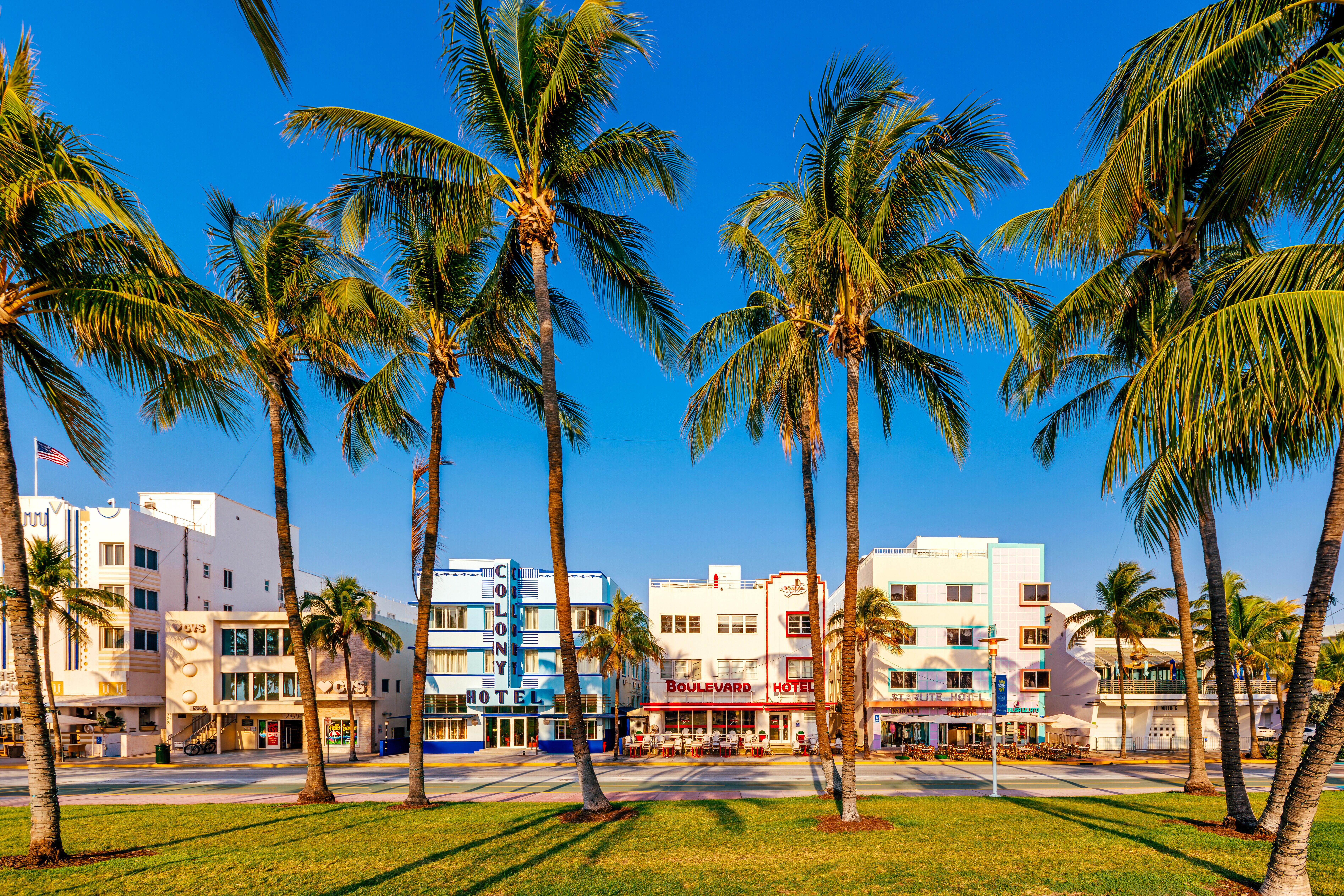 Ocean Drive storefronts and palm trees on South Beach