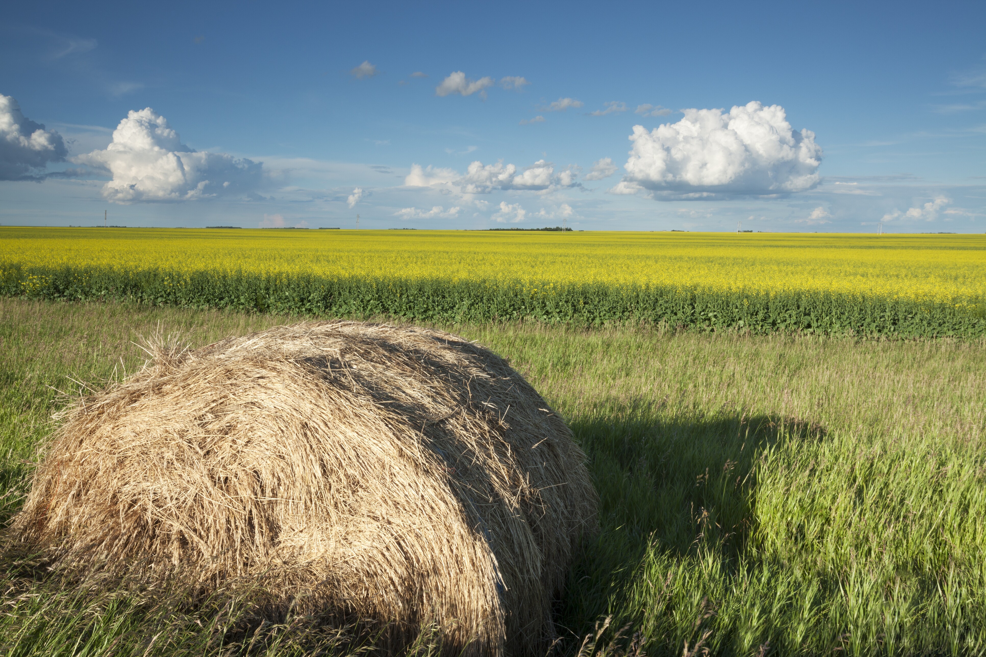 Saskatchewan's Scenic Yellowhead Highway Road Trip