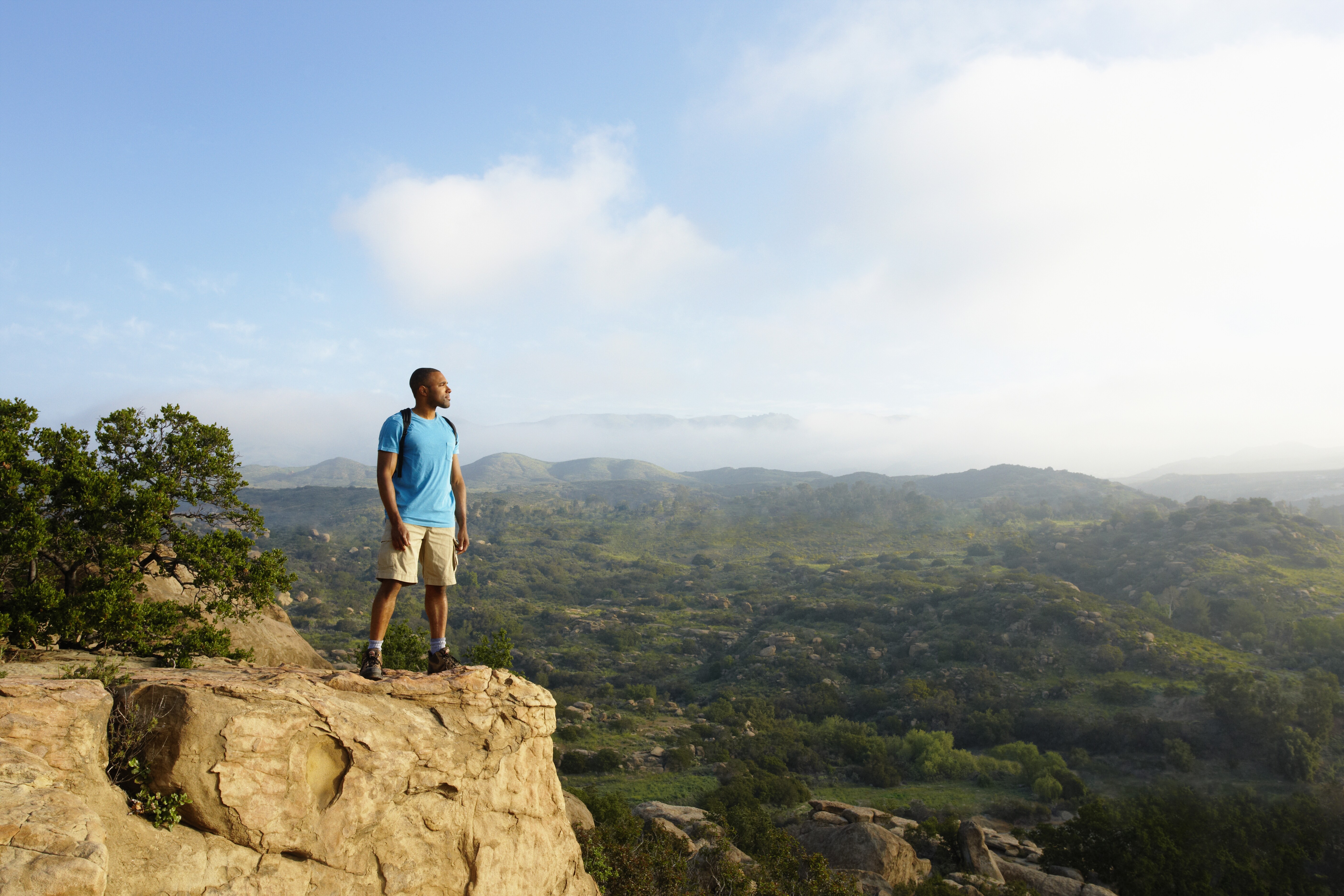 sightseeing tours in la