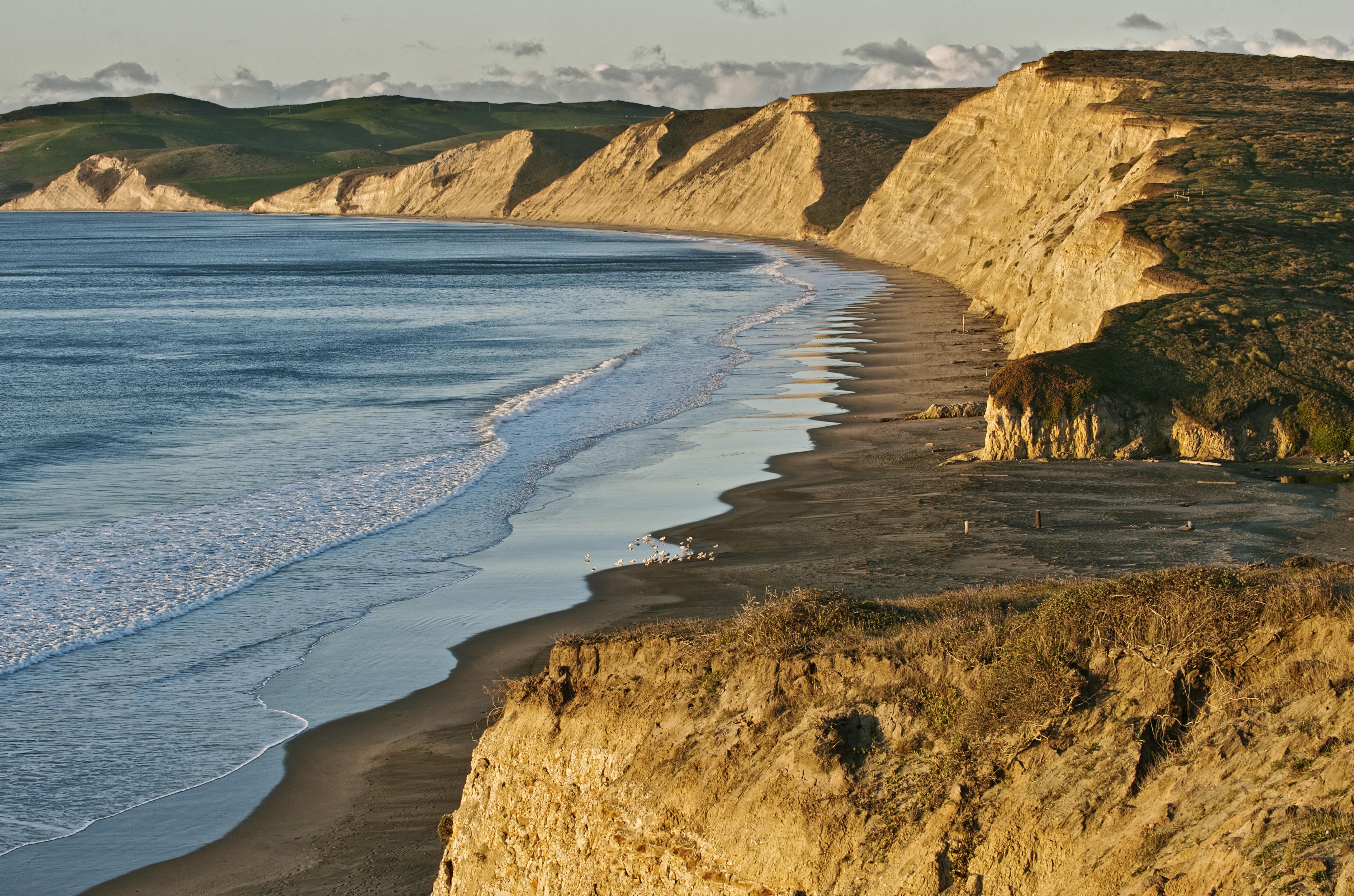 Outdoor image of the shoreline at Point Reyes Beach