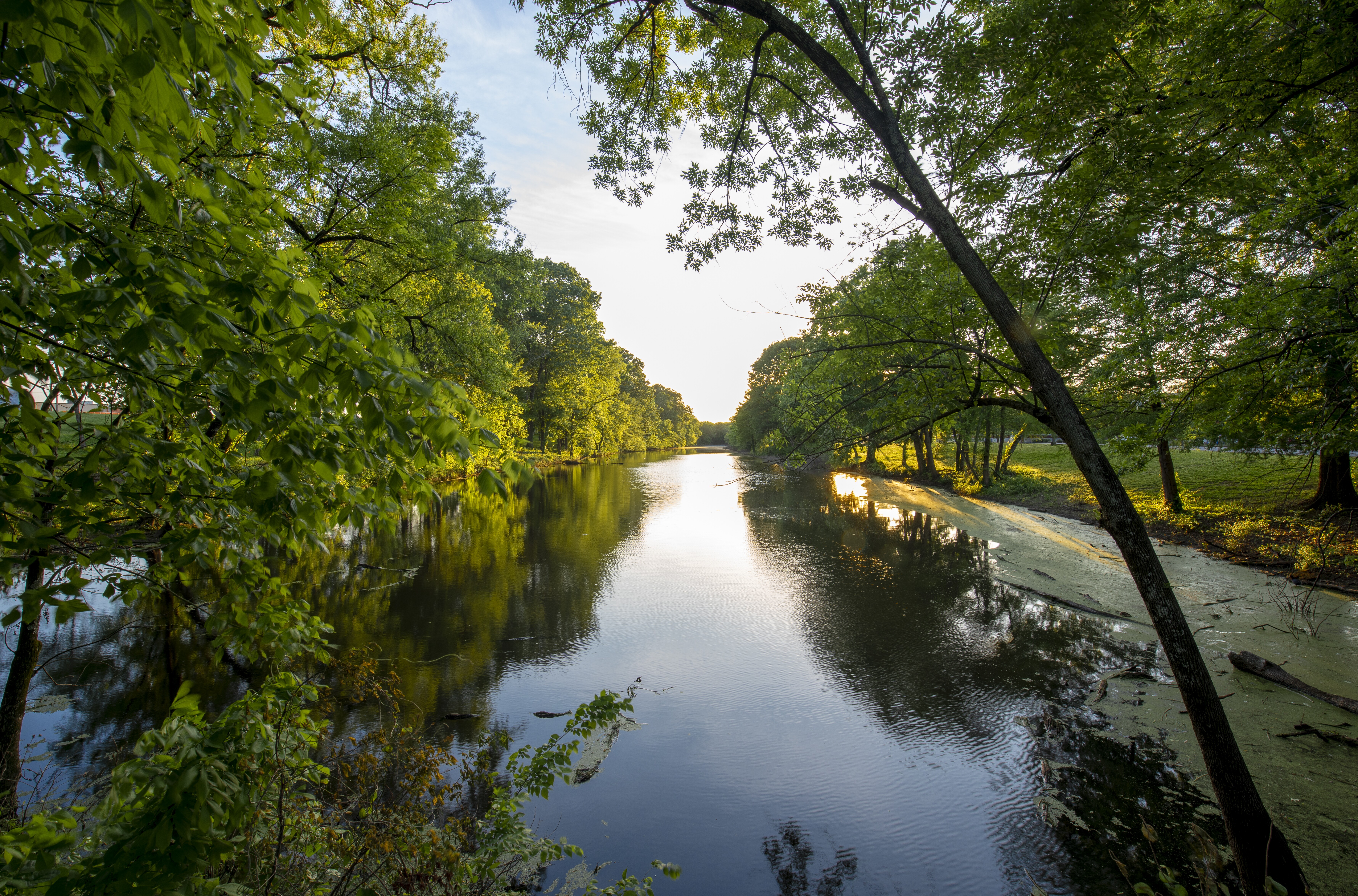 Image of a lake in Atlanta, Georgia.