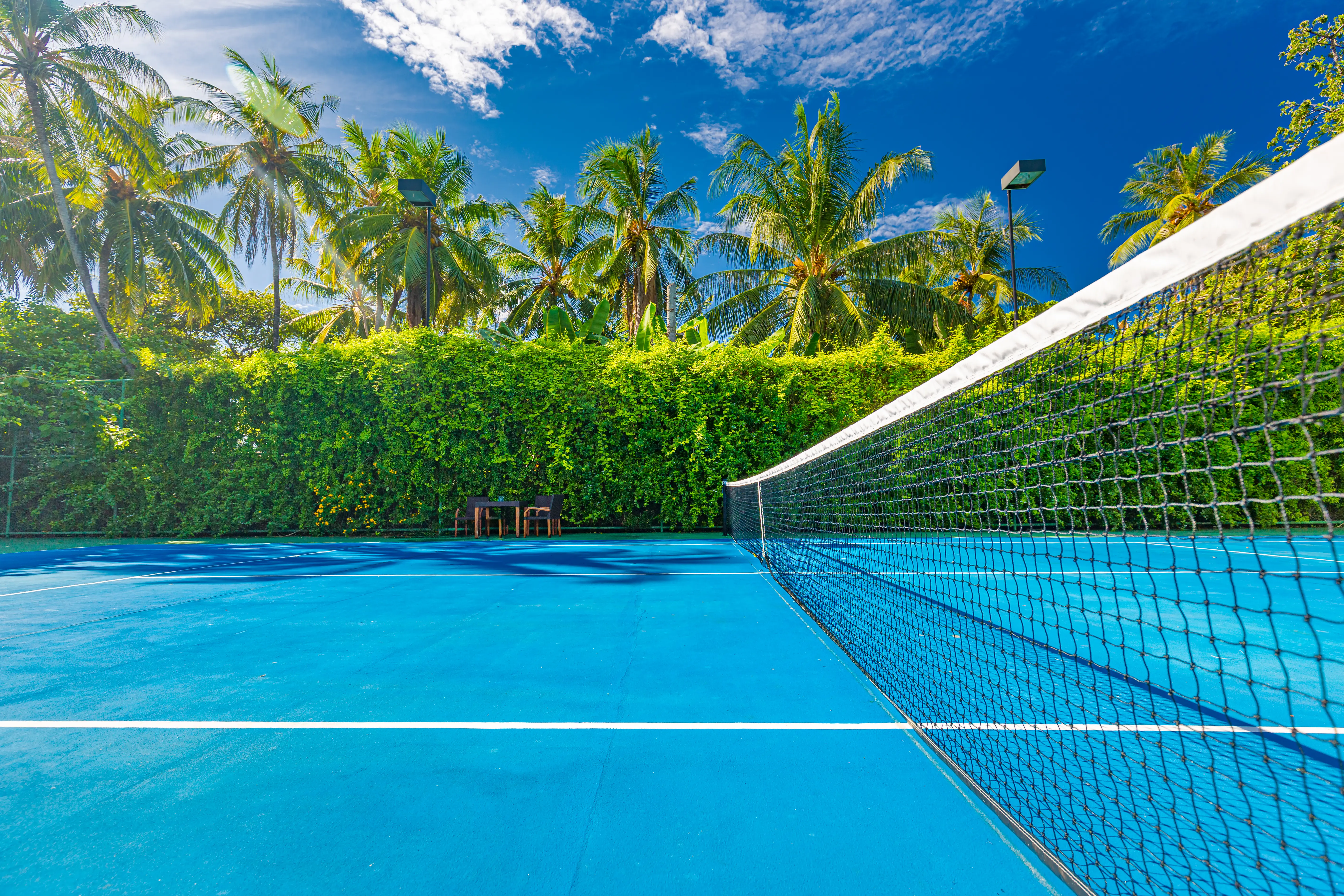Outdoor image of a Tennis court in a tropical setting.