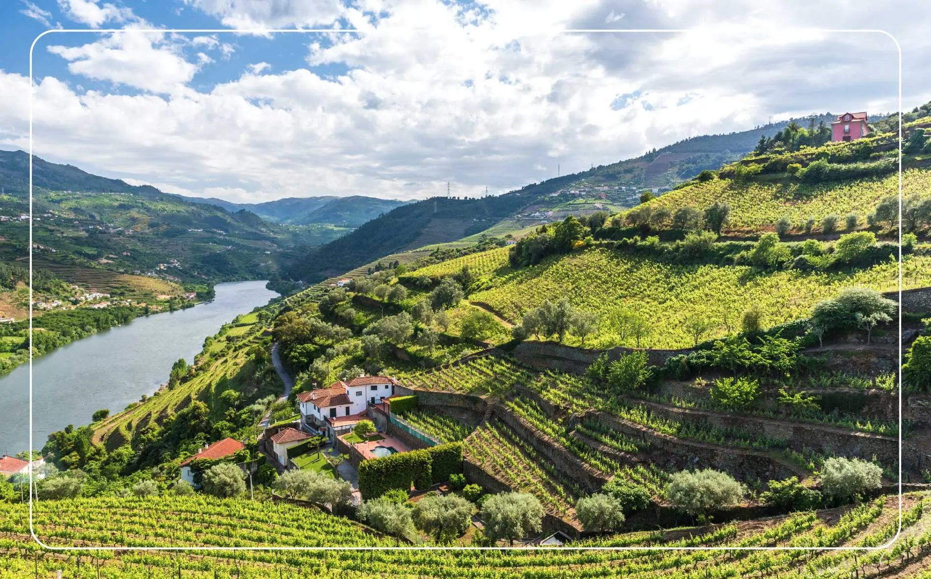 Beautiful landscape of vineyards in the Douro river region in Portugal.