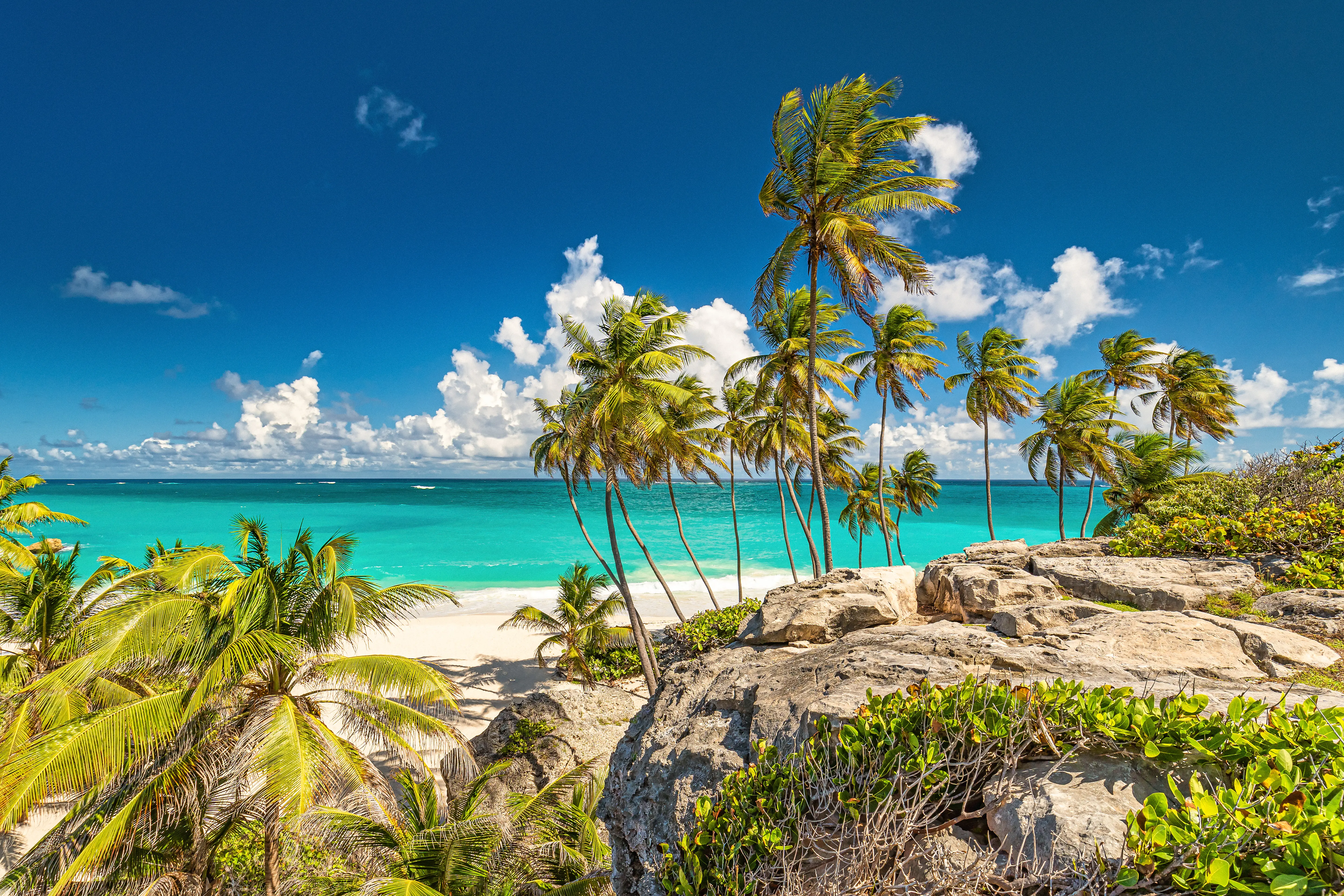 Image of the beach and shore at Bowling Alley Hill, Barbados.
