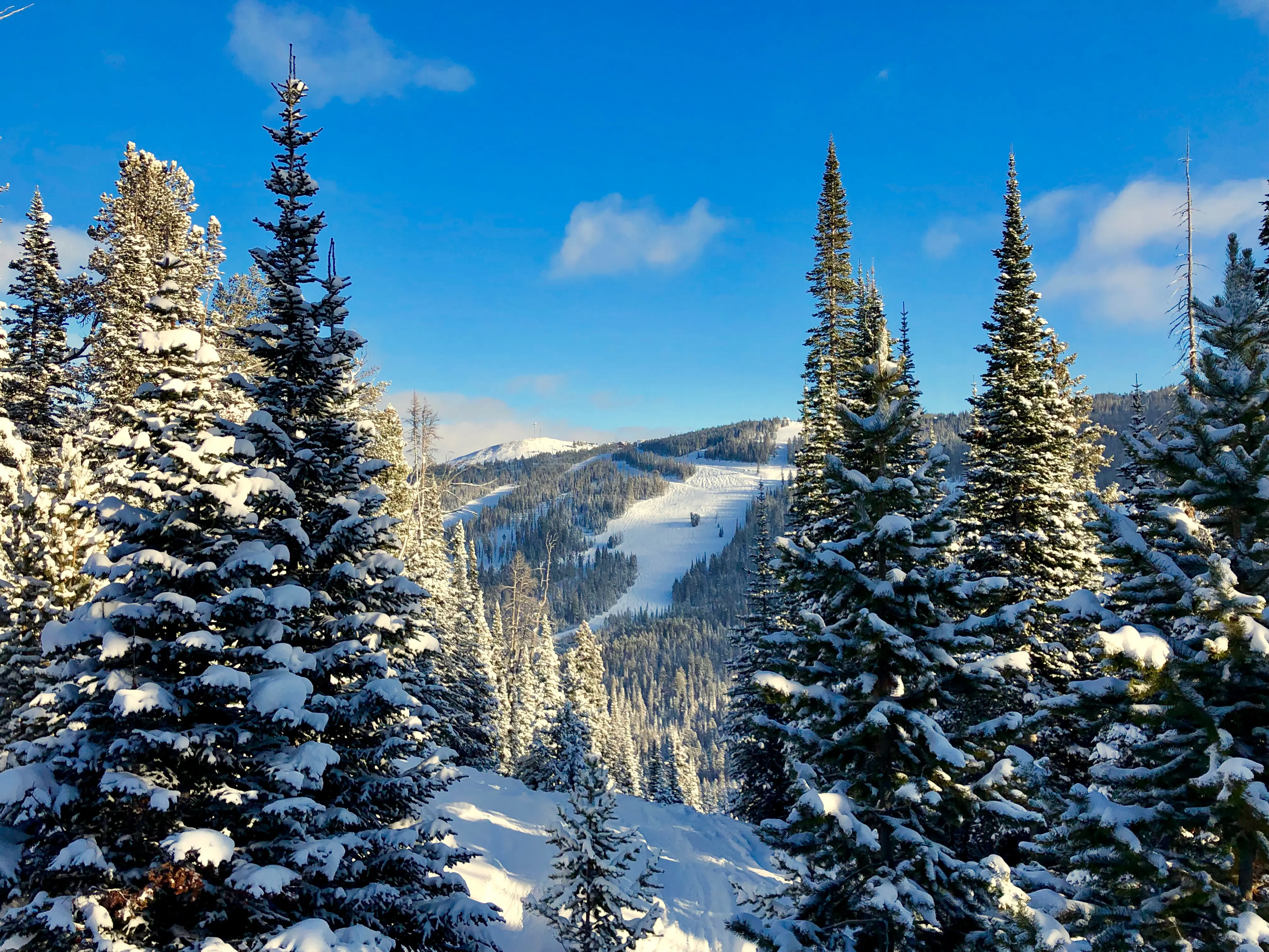Huge mountain slope view through snow covered trees with blue sky at Big Sky Ski Resort, Montana