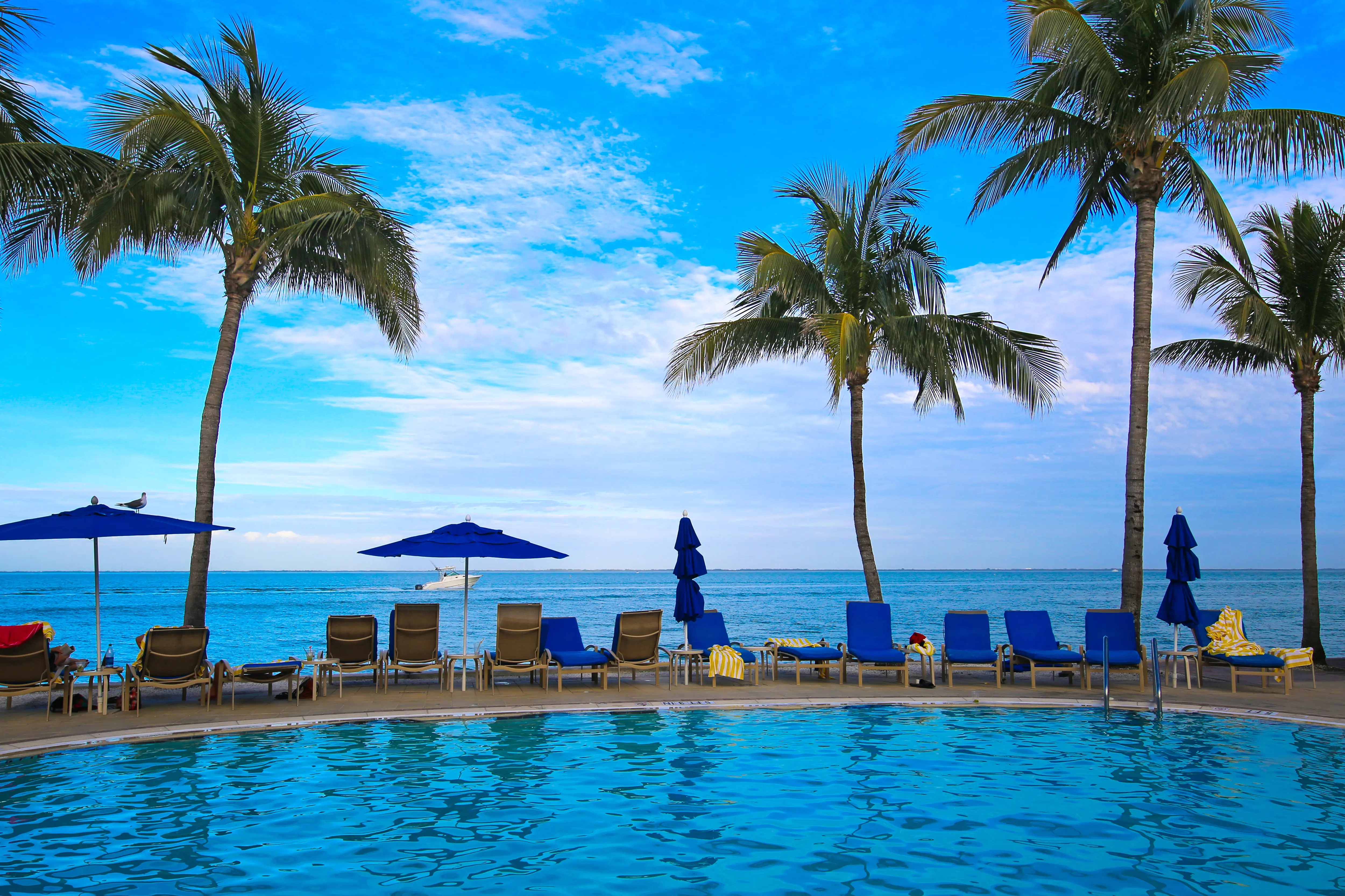 Seaside Florida resort pool view with palm trees and blue umbrellas
