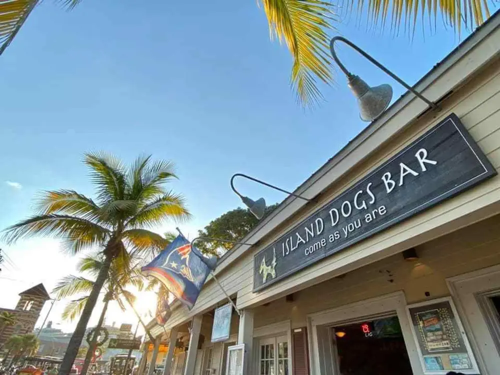 Island Dogs Bar Key West Florida