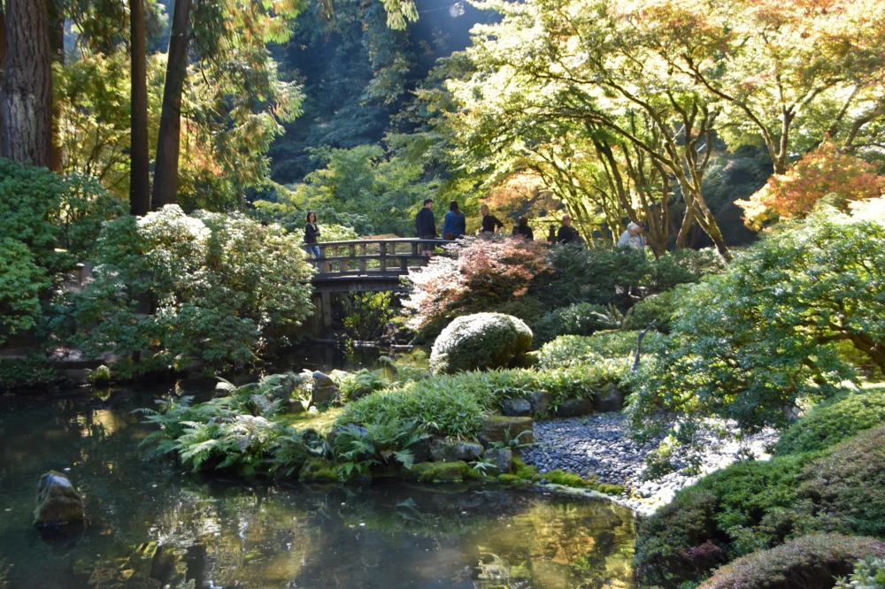 Lush vegetation and a bridge over a pond at Portland Japanese Garden in Portland, Oregon.