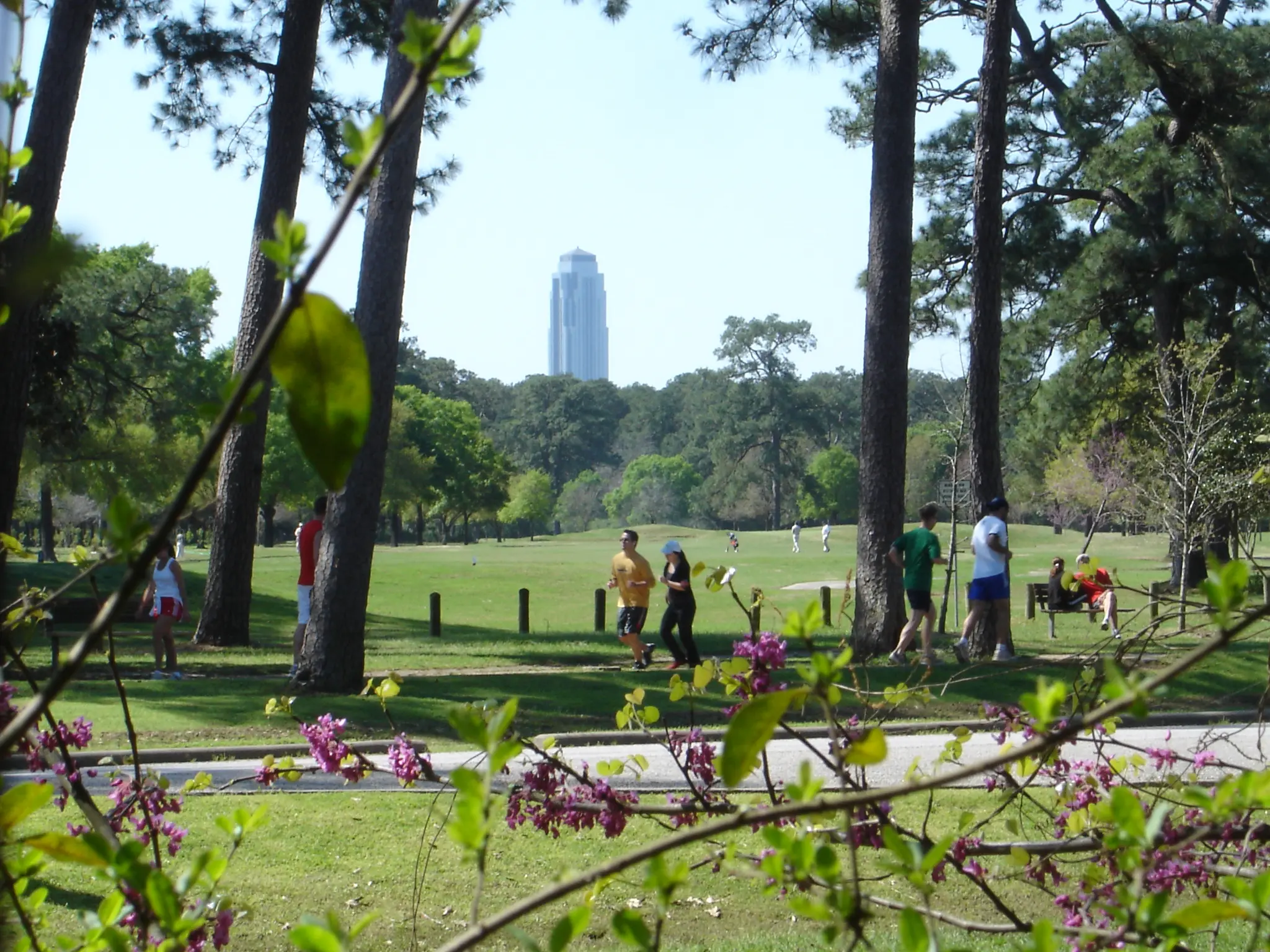 Image of people enjoying Memorial Park in Houston, Texas, with Williams Tower in the background.