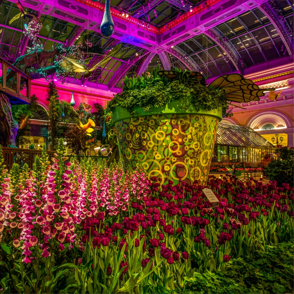 Bellagio, Las Vegas, NV, Conservatory