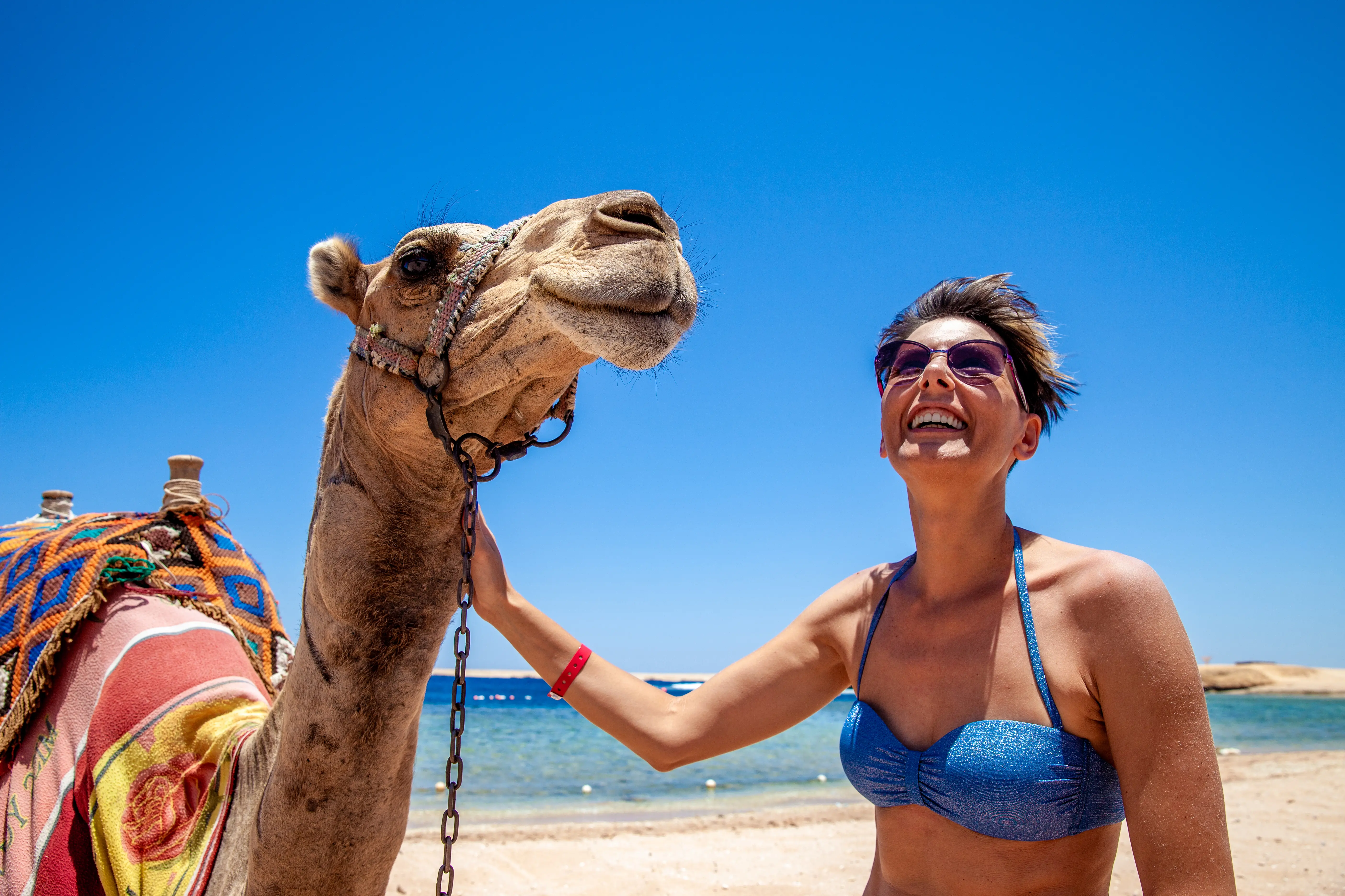 Photo of a woman and a camel