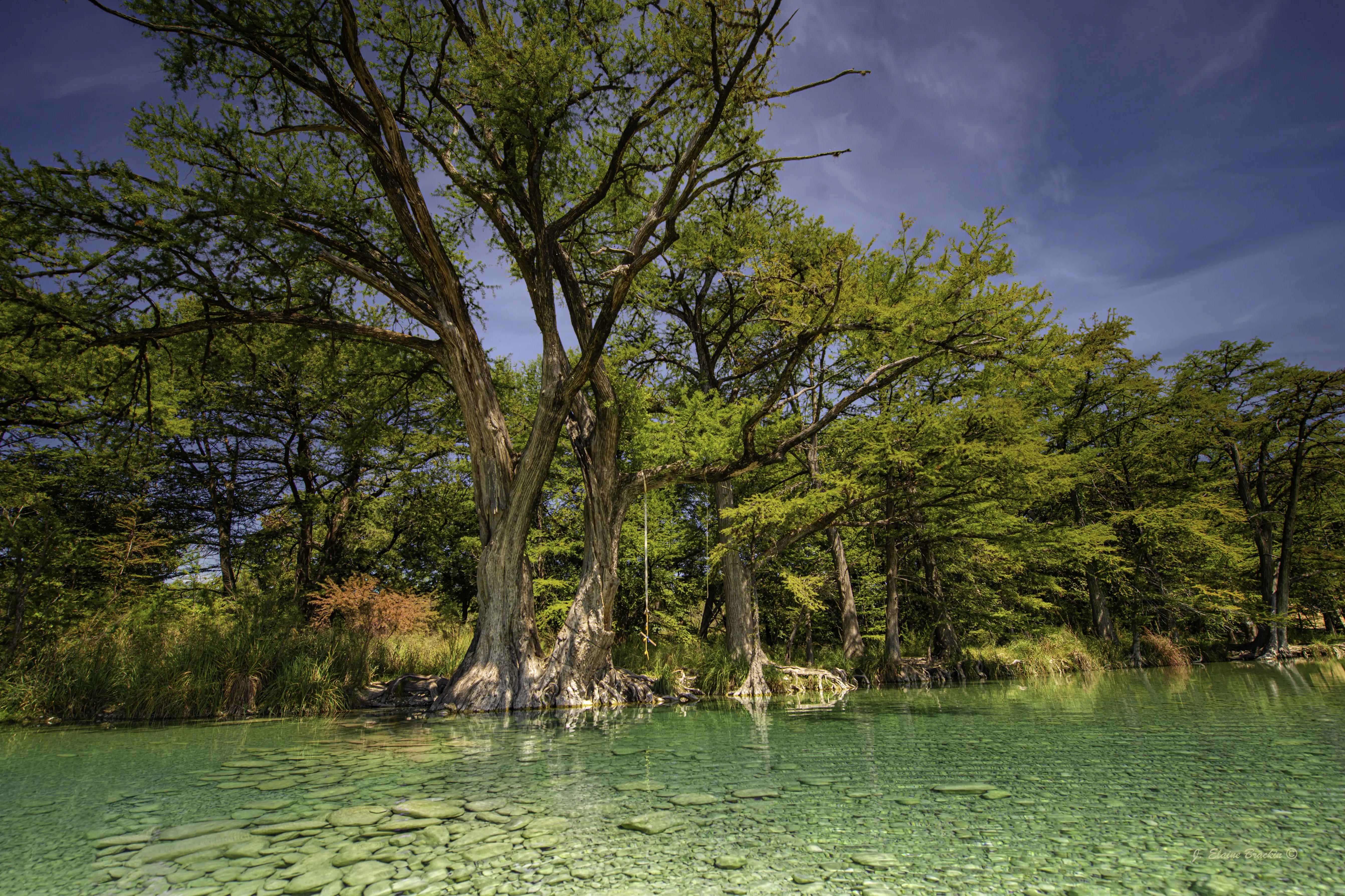 Image of Garner State Park, and its river.