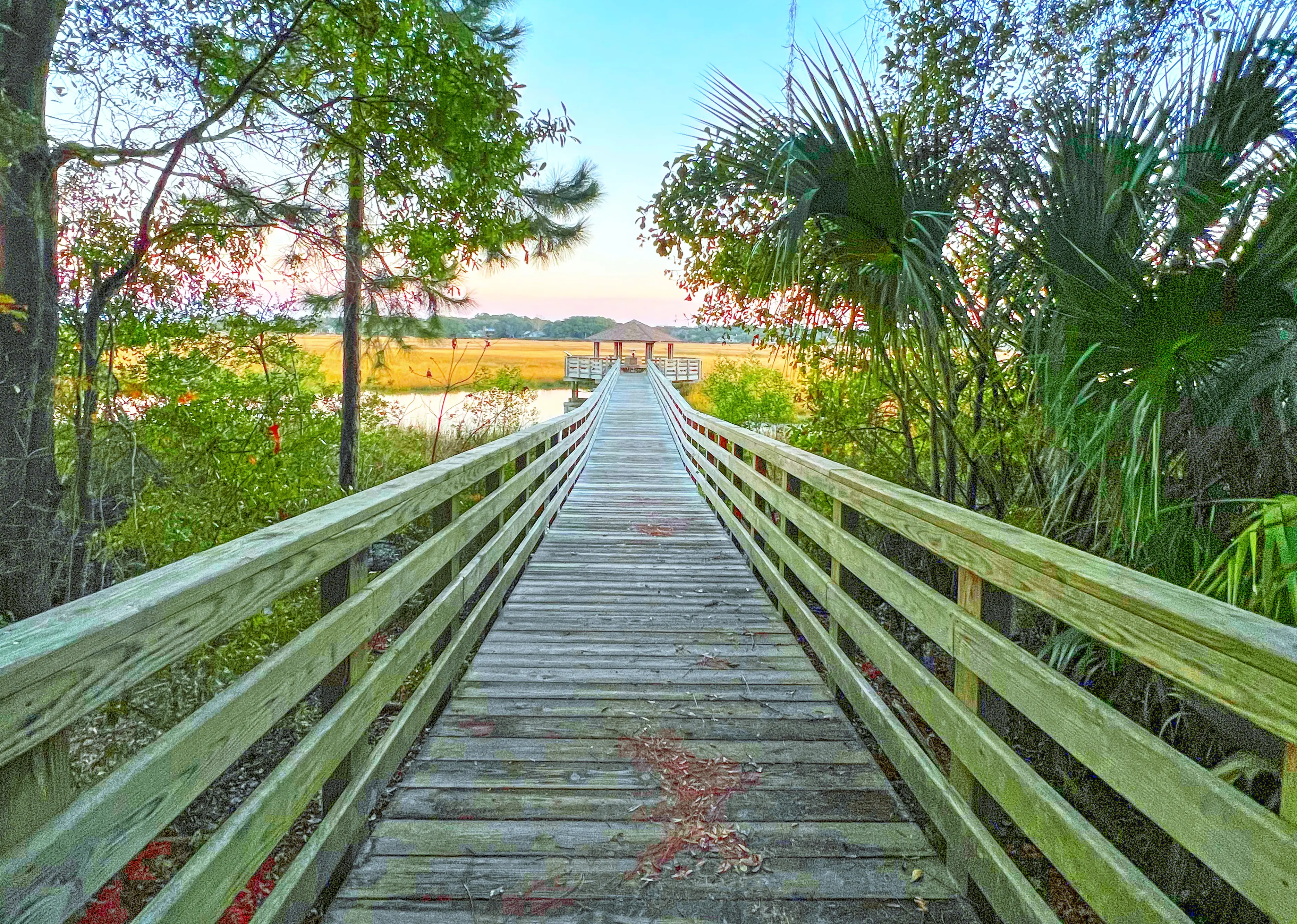 Marsh view at Freedom Park