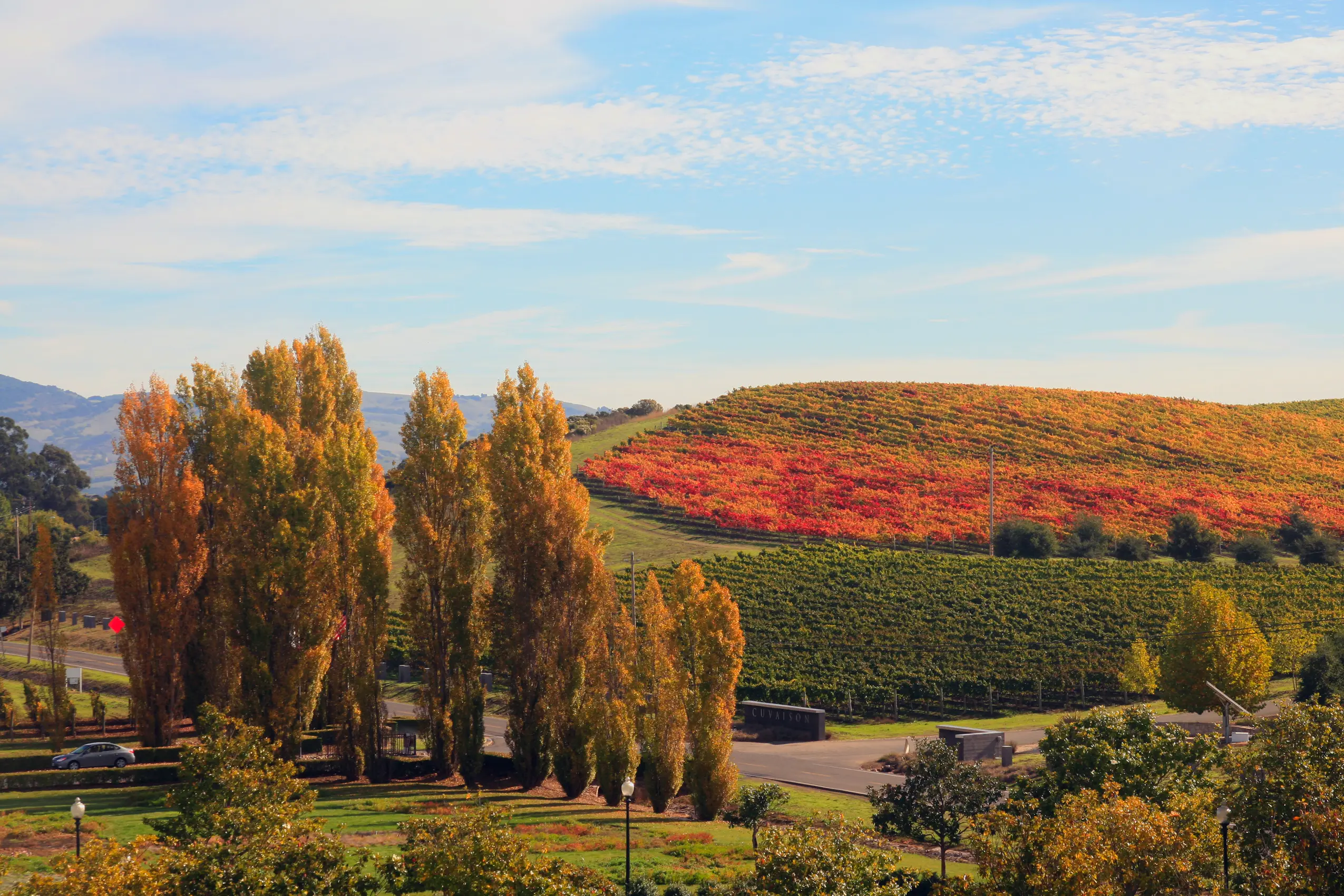 Image of the hills and vineyard of Napa Valley in fall.