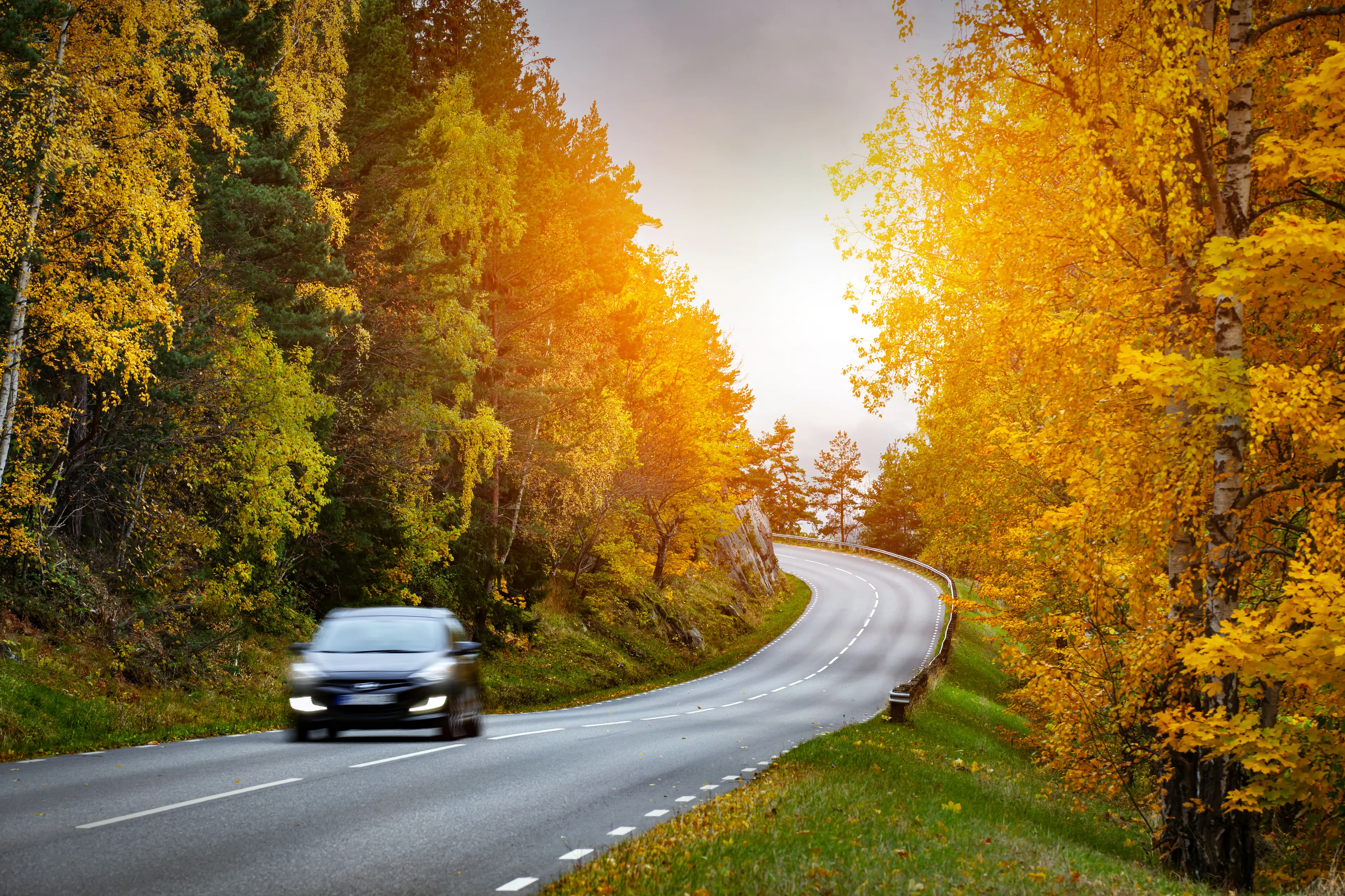 Car on the road in the forest in Autumn