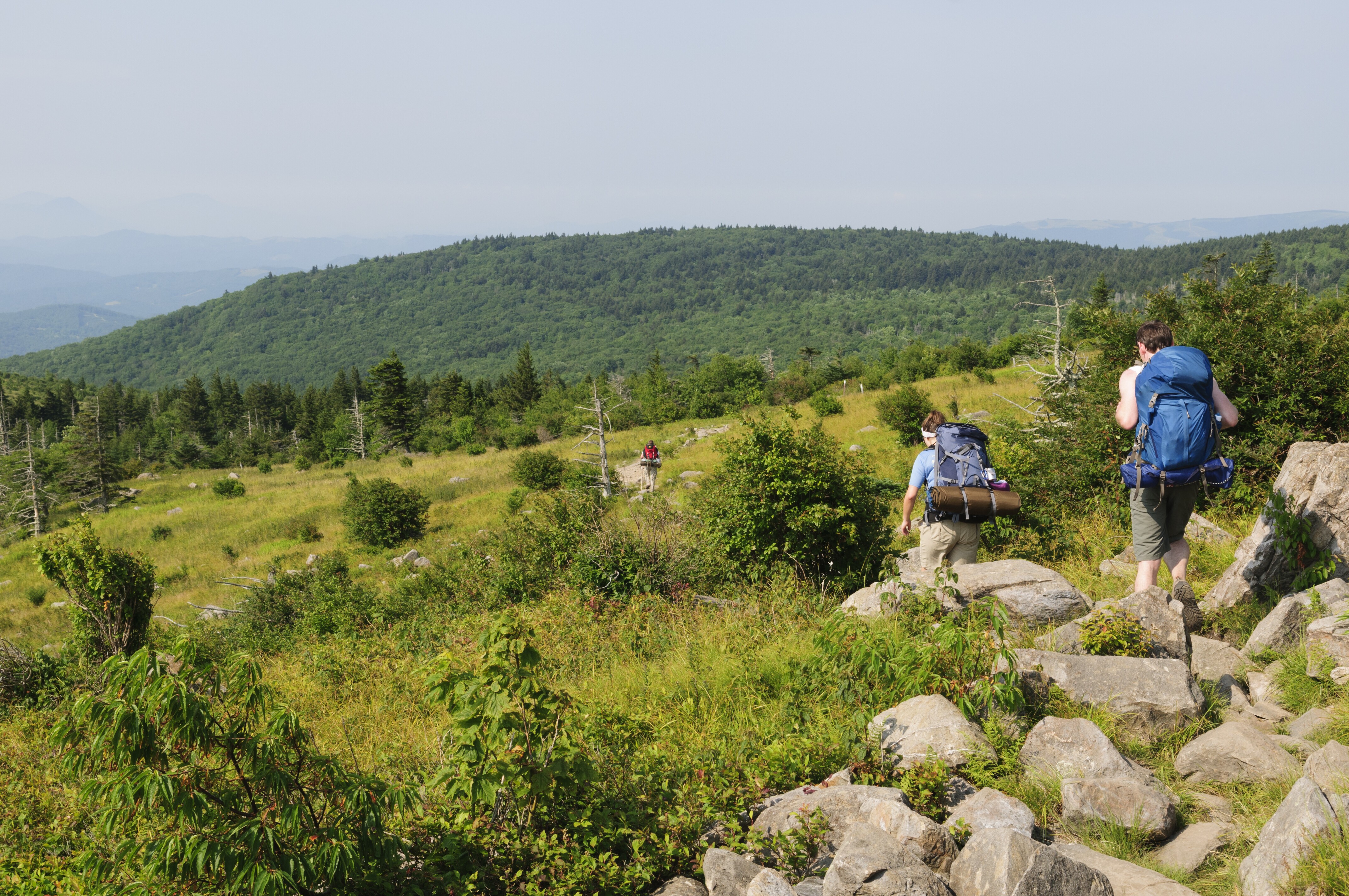 Mount Rogers Scenic Route 58 Road Trip