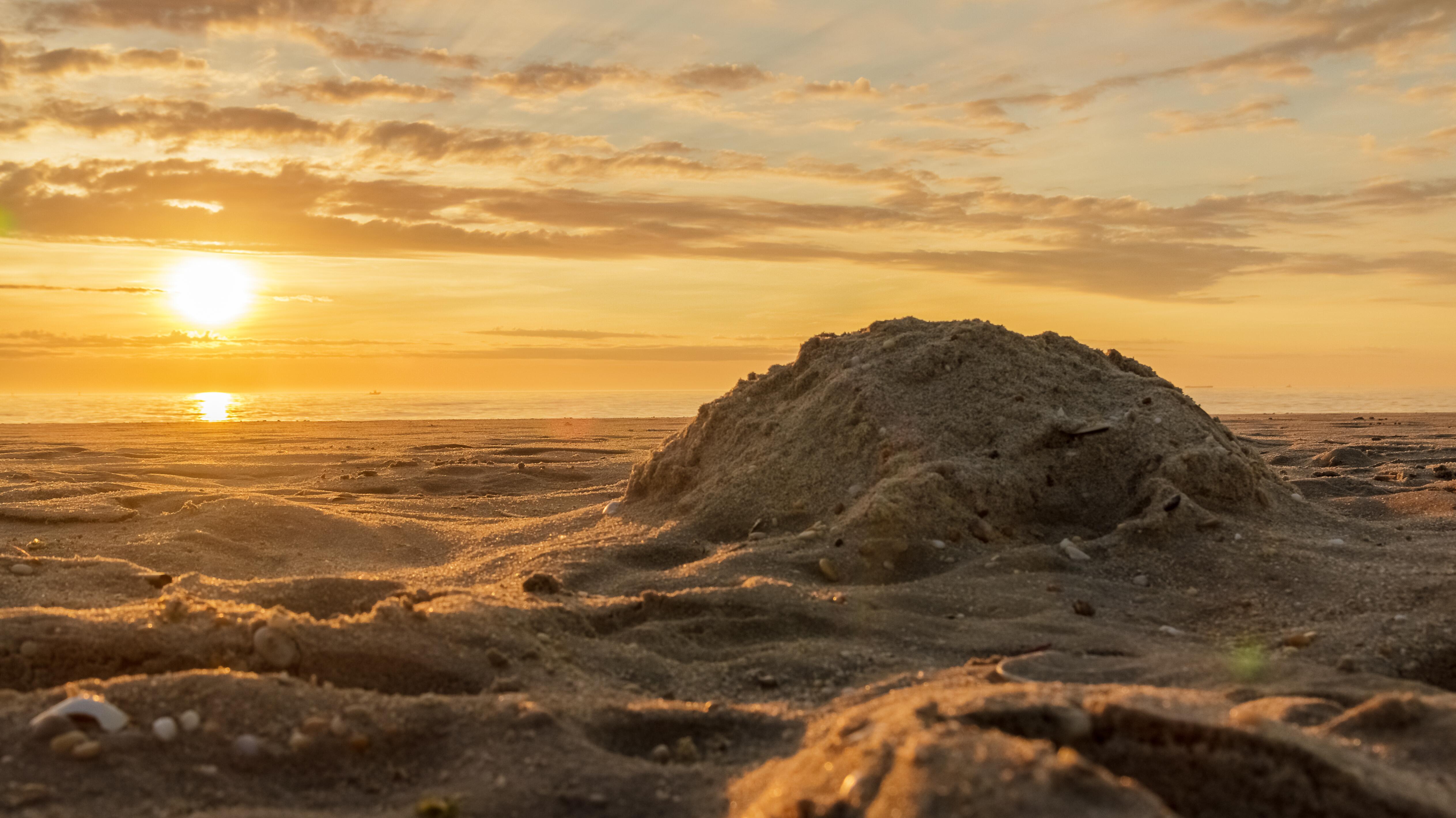 Image of the sand and shore at Sandy Hook beach, New Jersey.
