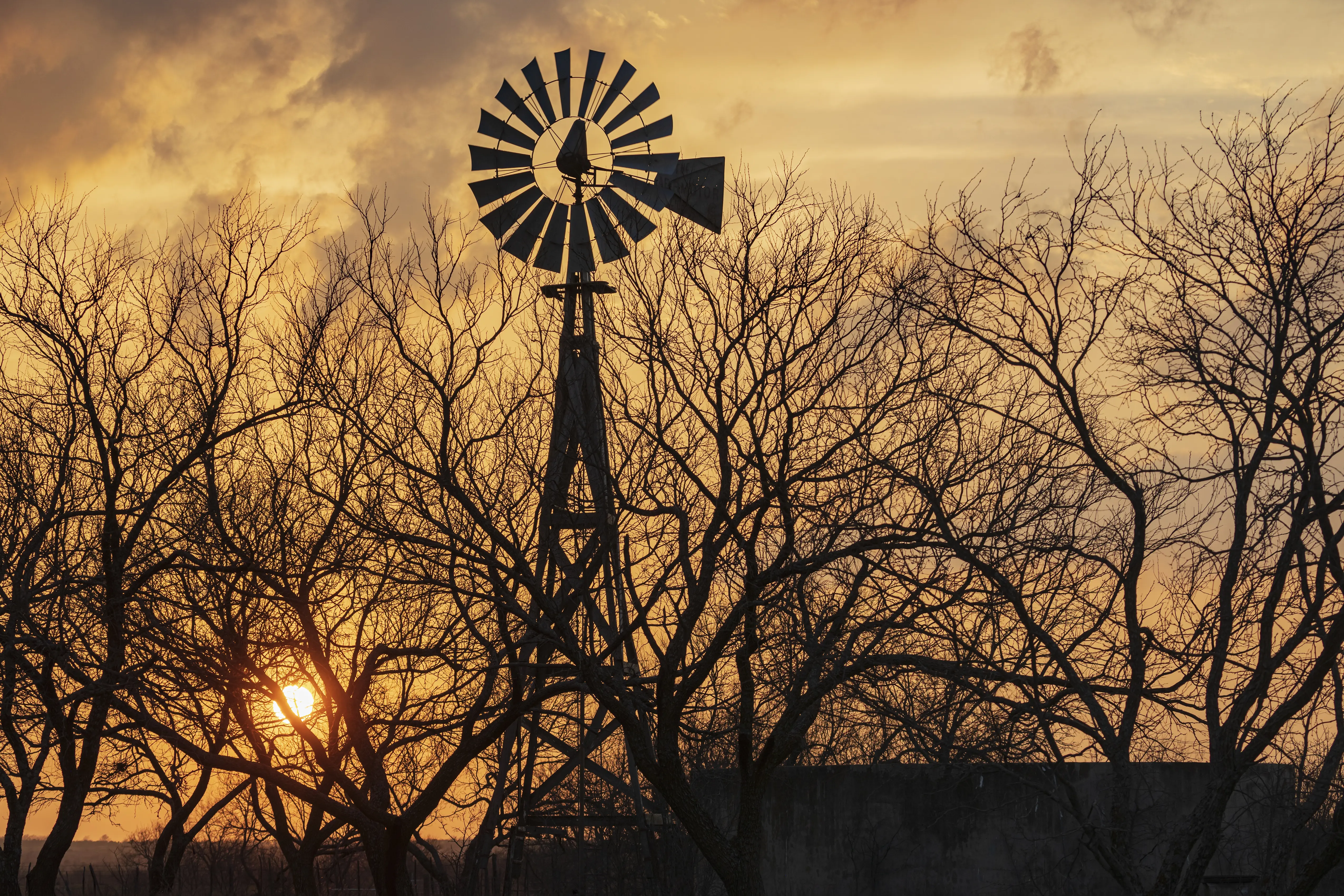 Image of a wind pump through trees at sunset.