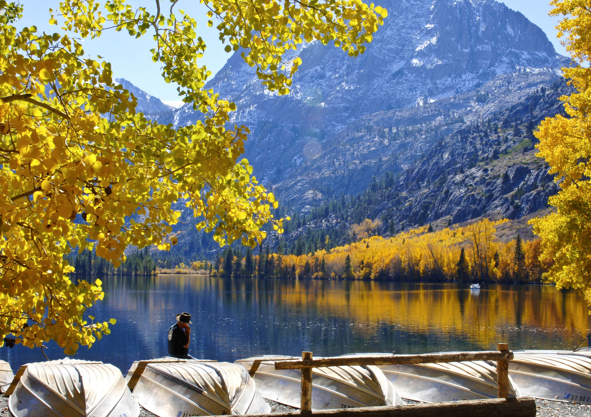 Carson Pass Scenic Highway Road Trip