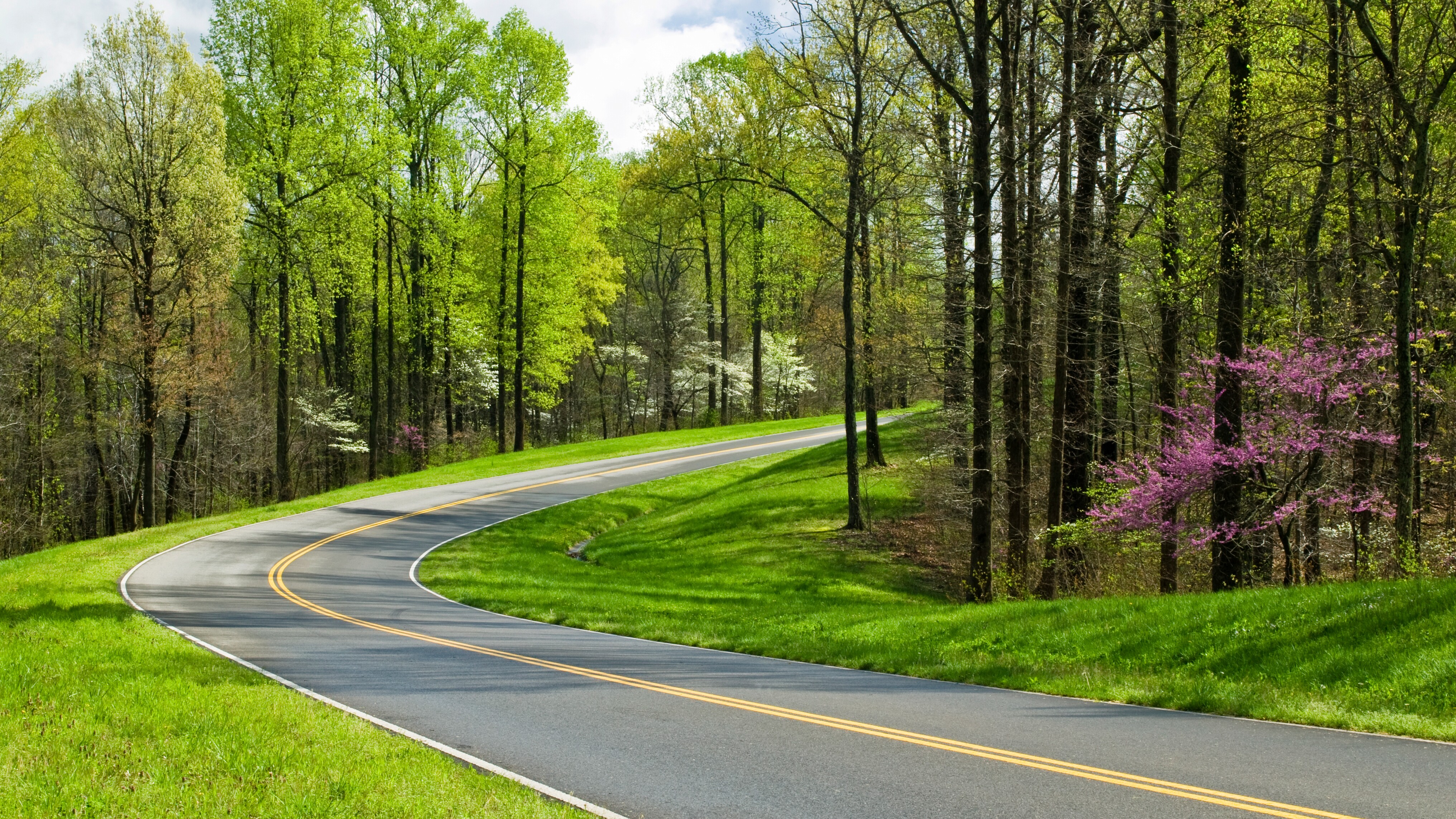 Natchez Trace Parkway Road Trip