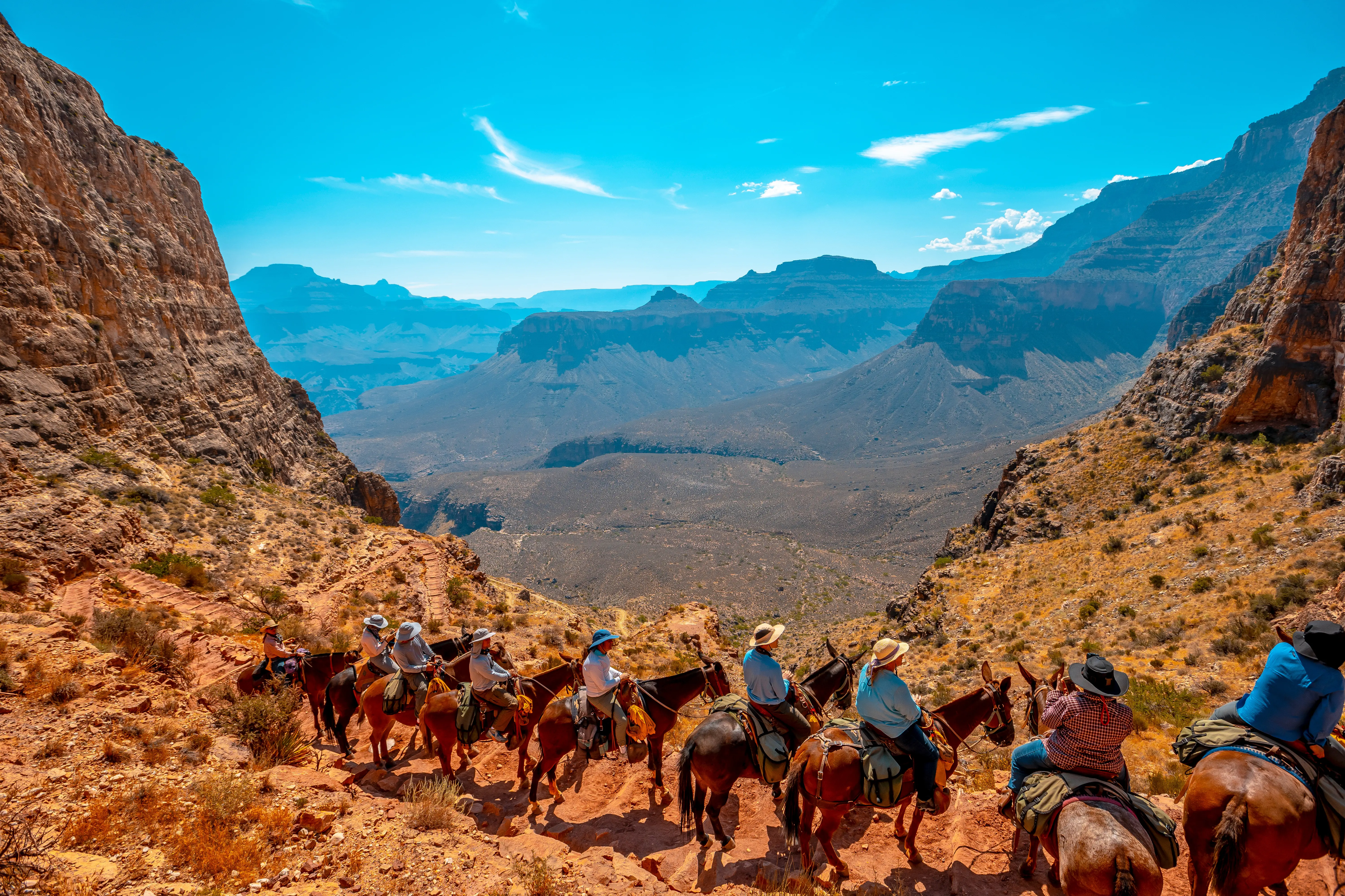 Mule riders lined up on a trail facing the panoramic view of the canyons during a clear sunny day on the South Kaibab Trail, Grand Canyon, Arizona