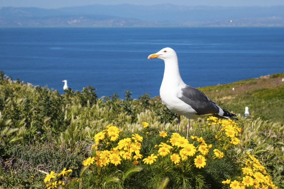 Arpad Benedek / iStockphoto.com