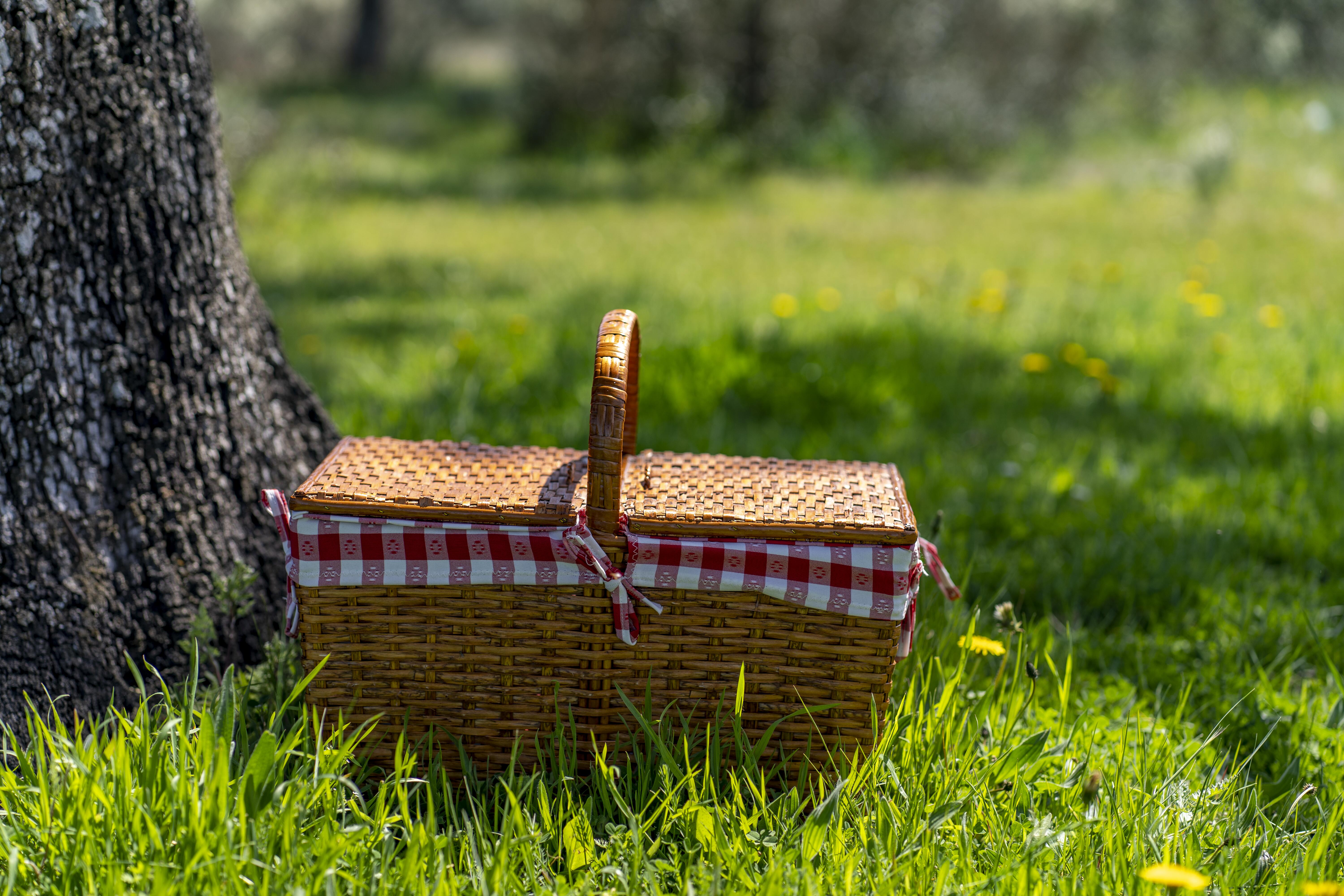 Outdoor shot of a picnic basket sitting on a lawn in the sun