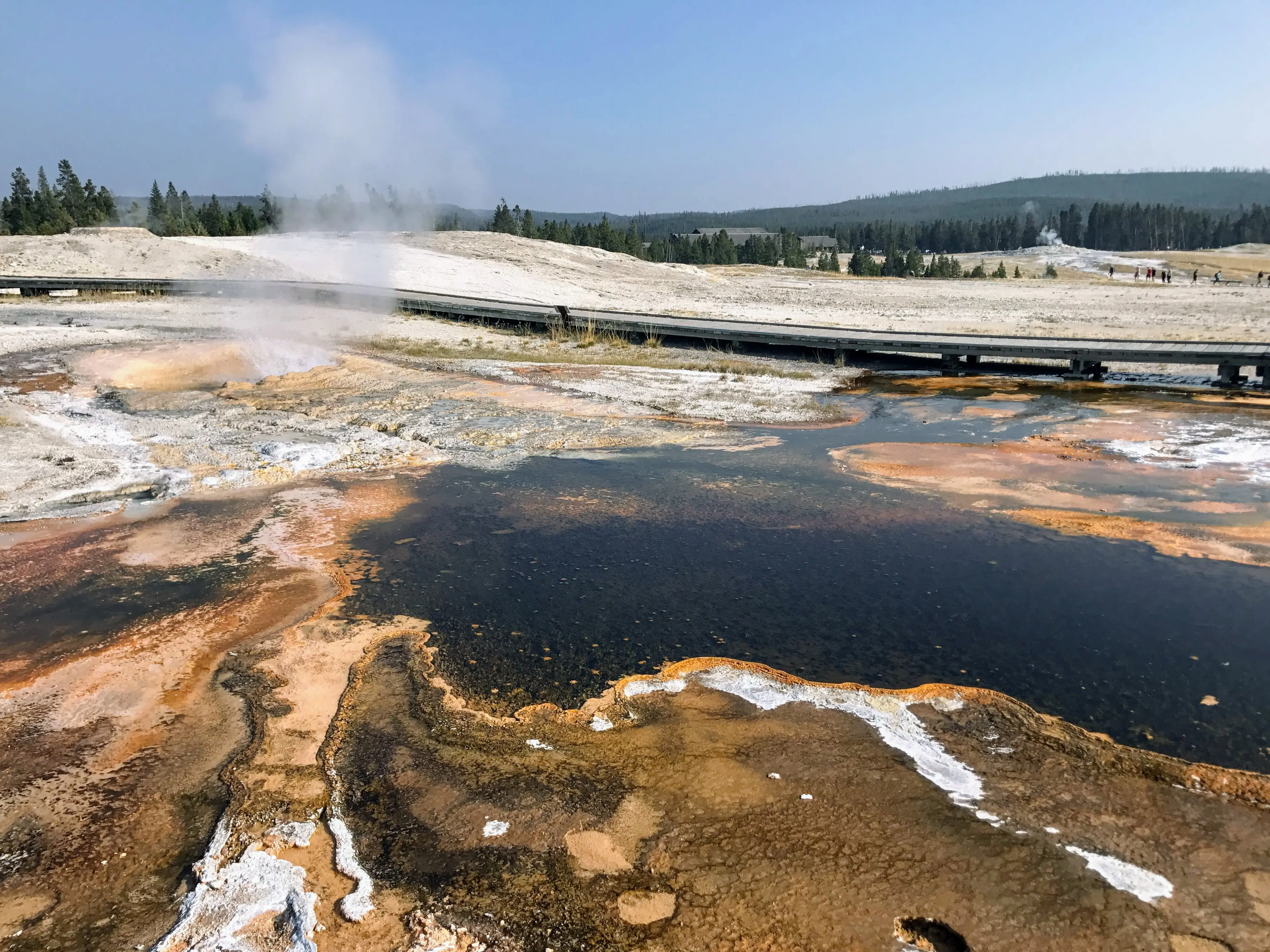 Upper Geyser Basic in Yellowstone