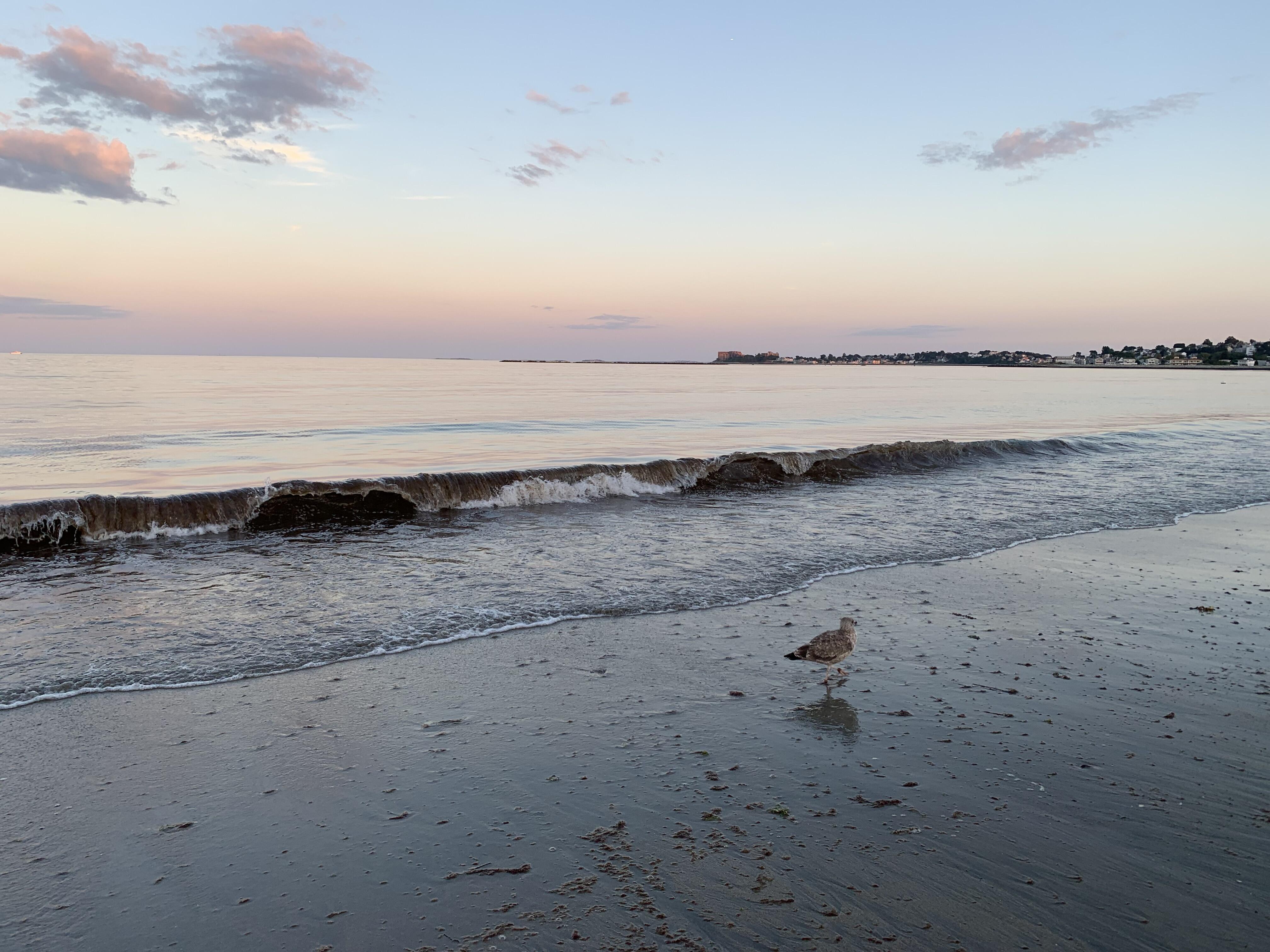 Image of a beach shoreline near Boston, Massachusetts.