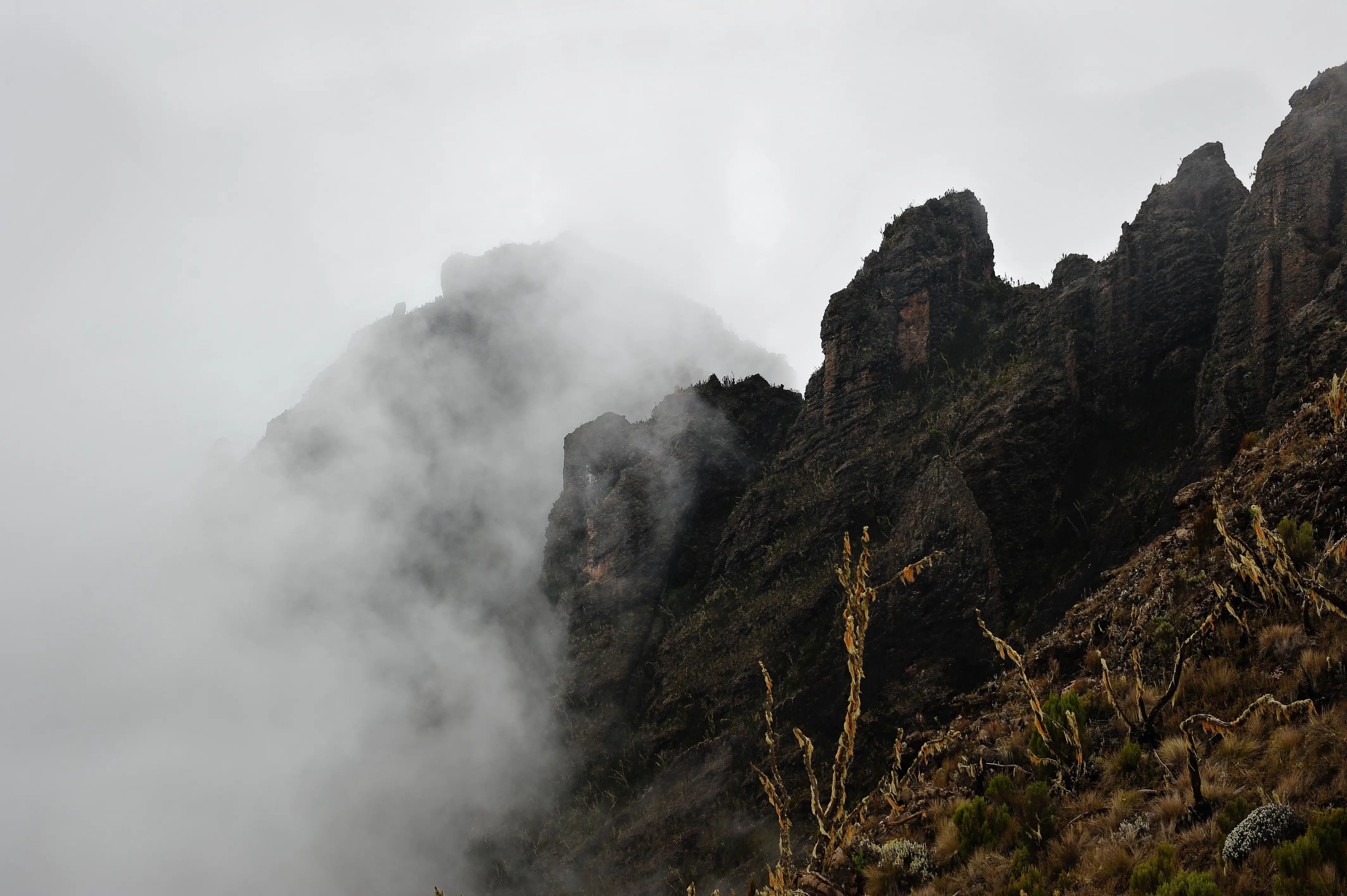 Eerie nighttime shot of Mount Kilimanjaro National Park, in Tanzania.