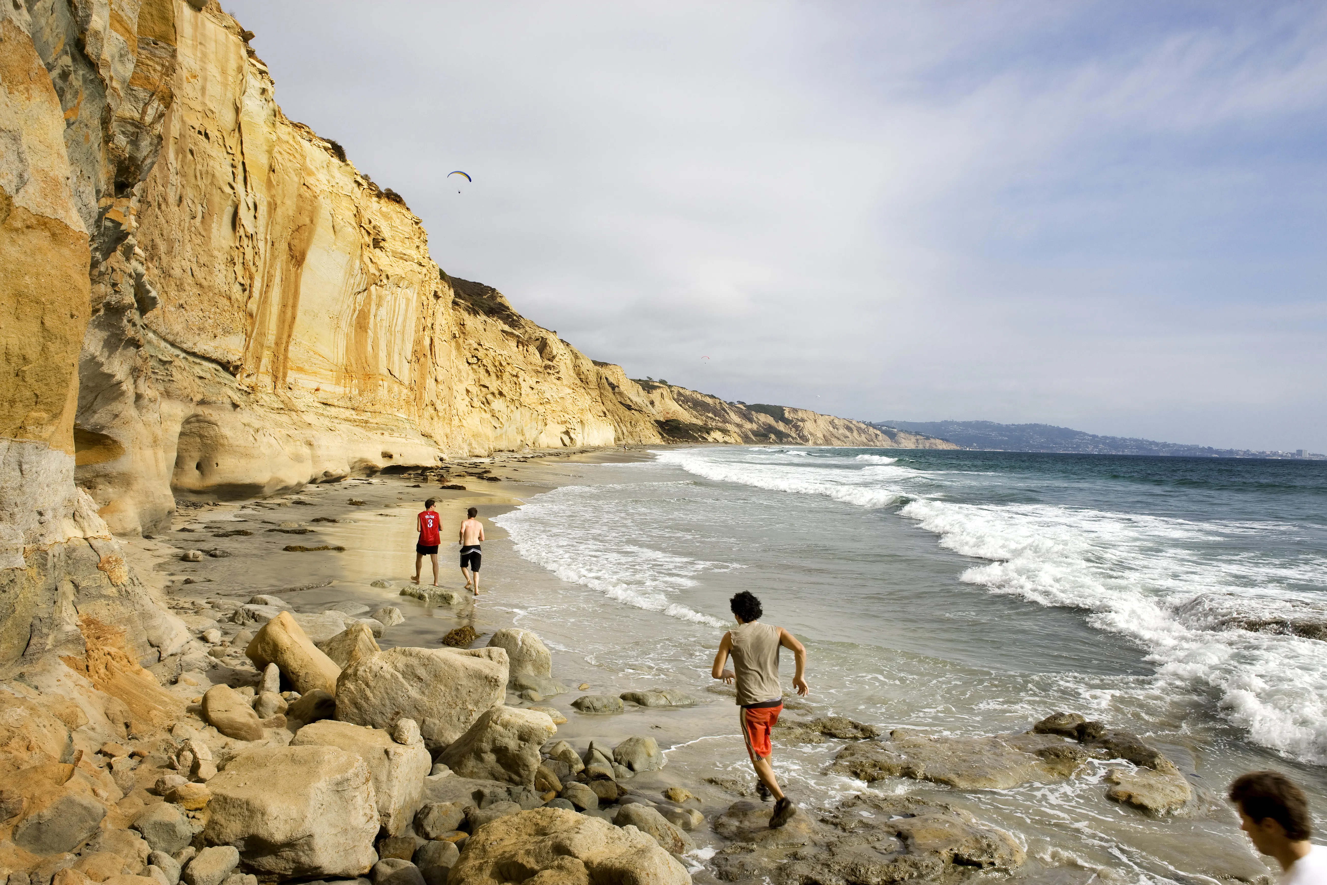 Image of the sandstone cliffs of Black's Beach, in California.
