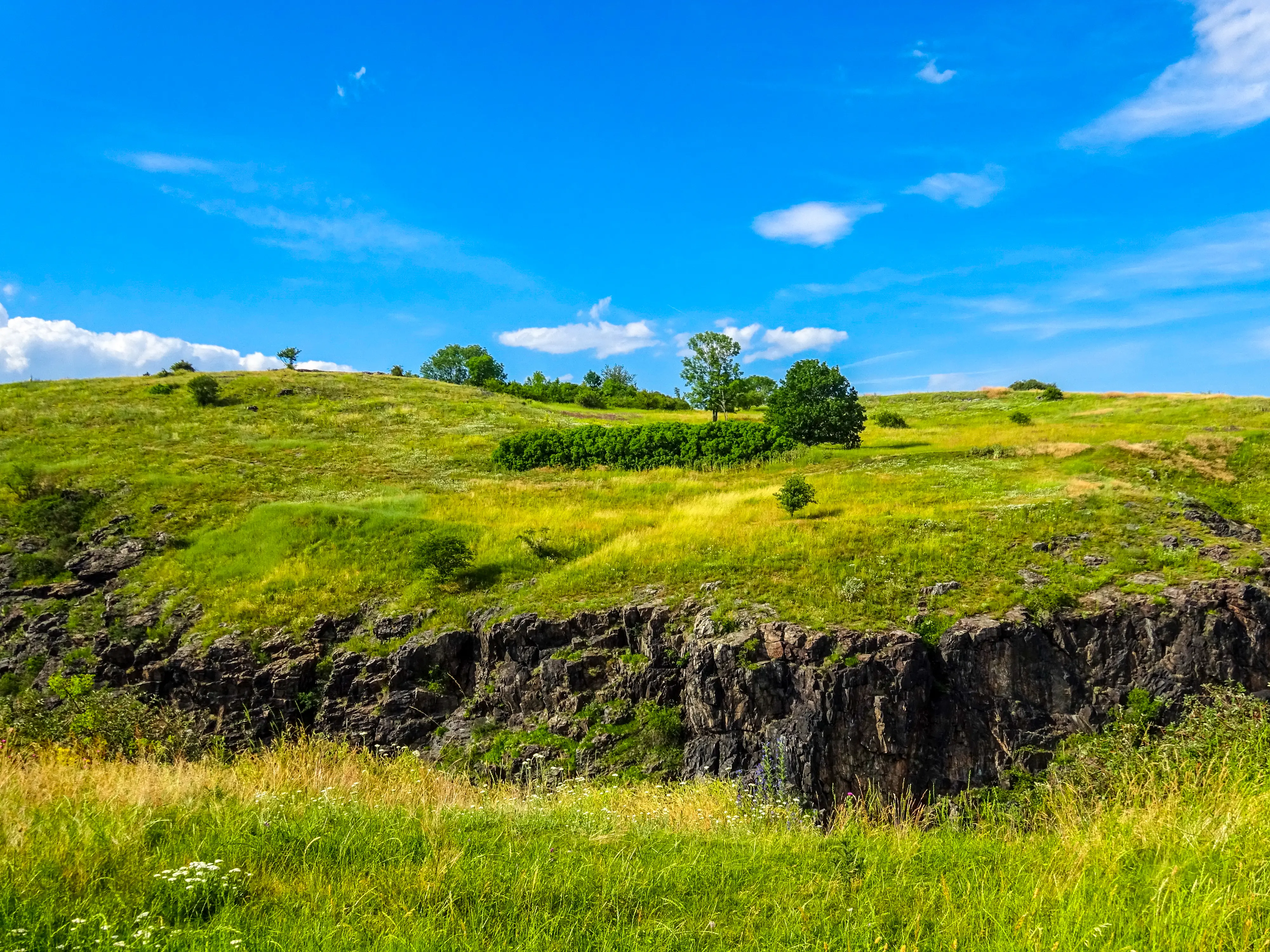 Outdoor image of the Divoká Šárka scenery and landscape.