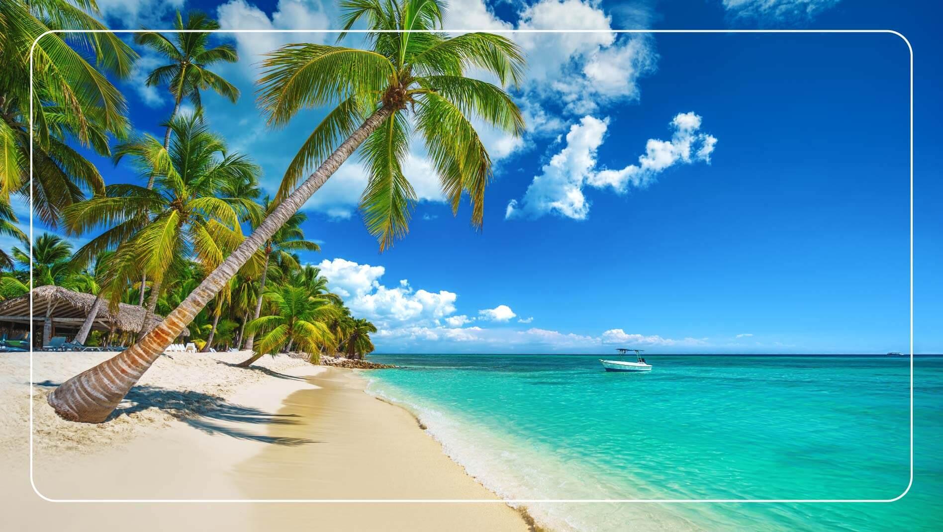 Image showing palm trees and white sands of Bavaro Beach, Dominican Republic