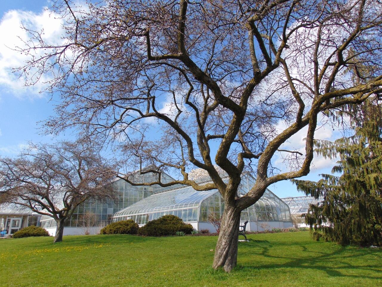 Image of the Centennial Park Conservatory in Ontario, Canada.
