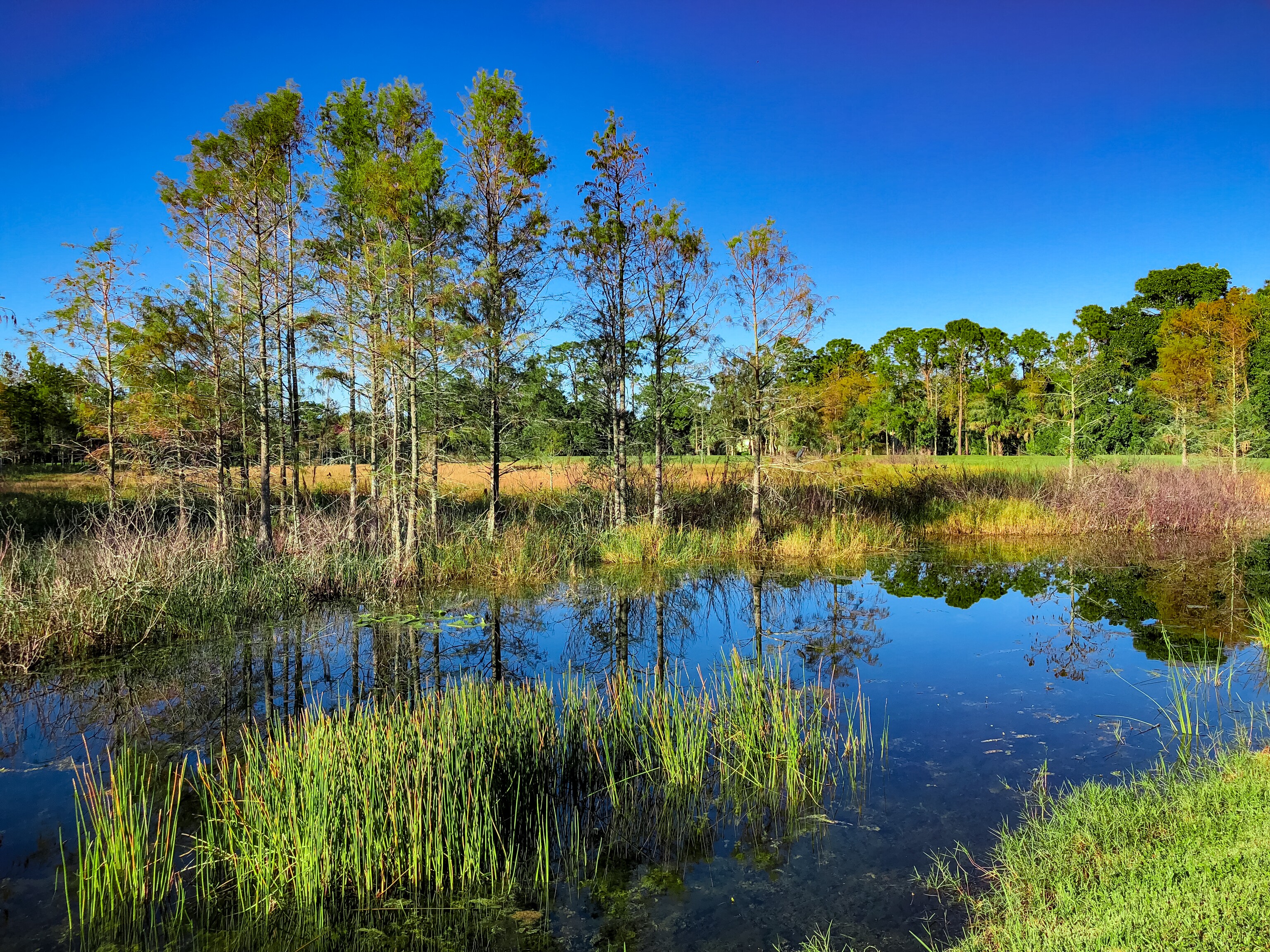 Creole Scenic Nature Trail Road Trip