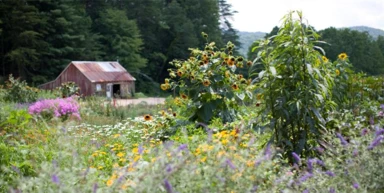 Blackberry Farm in the Great Smoky Mountains