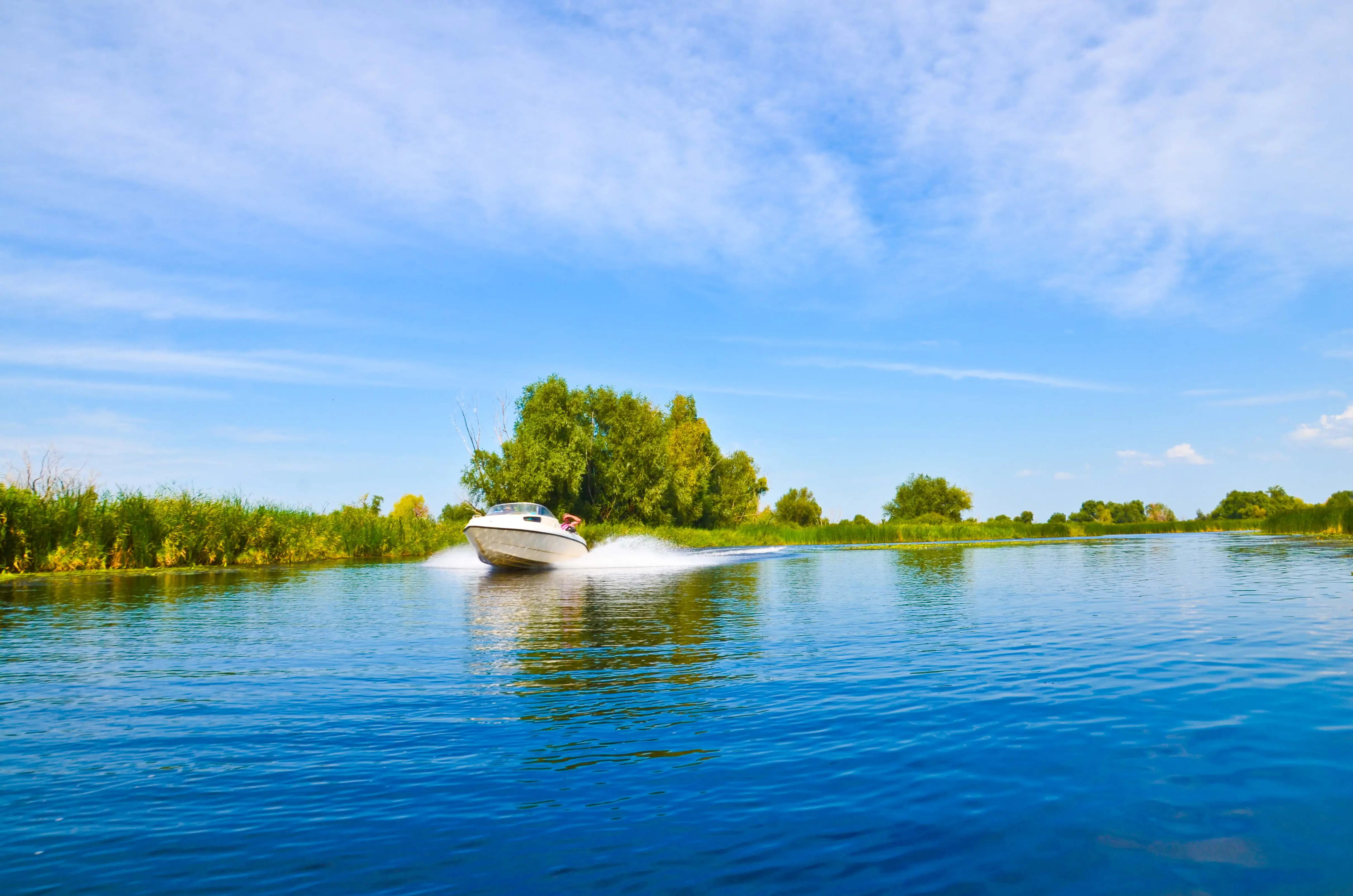 Landscape of river, reeds and trees with boat driving fast on a sunny day, blue sky