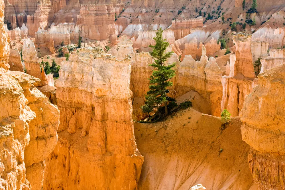 Navajo Loop Trail Bryce at Canyon, Utah
