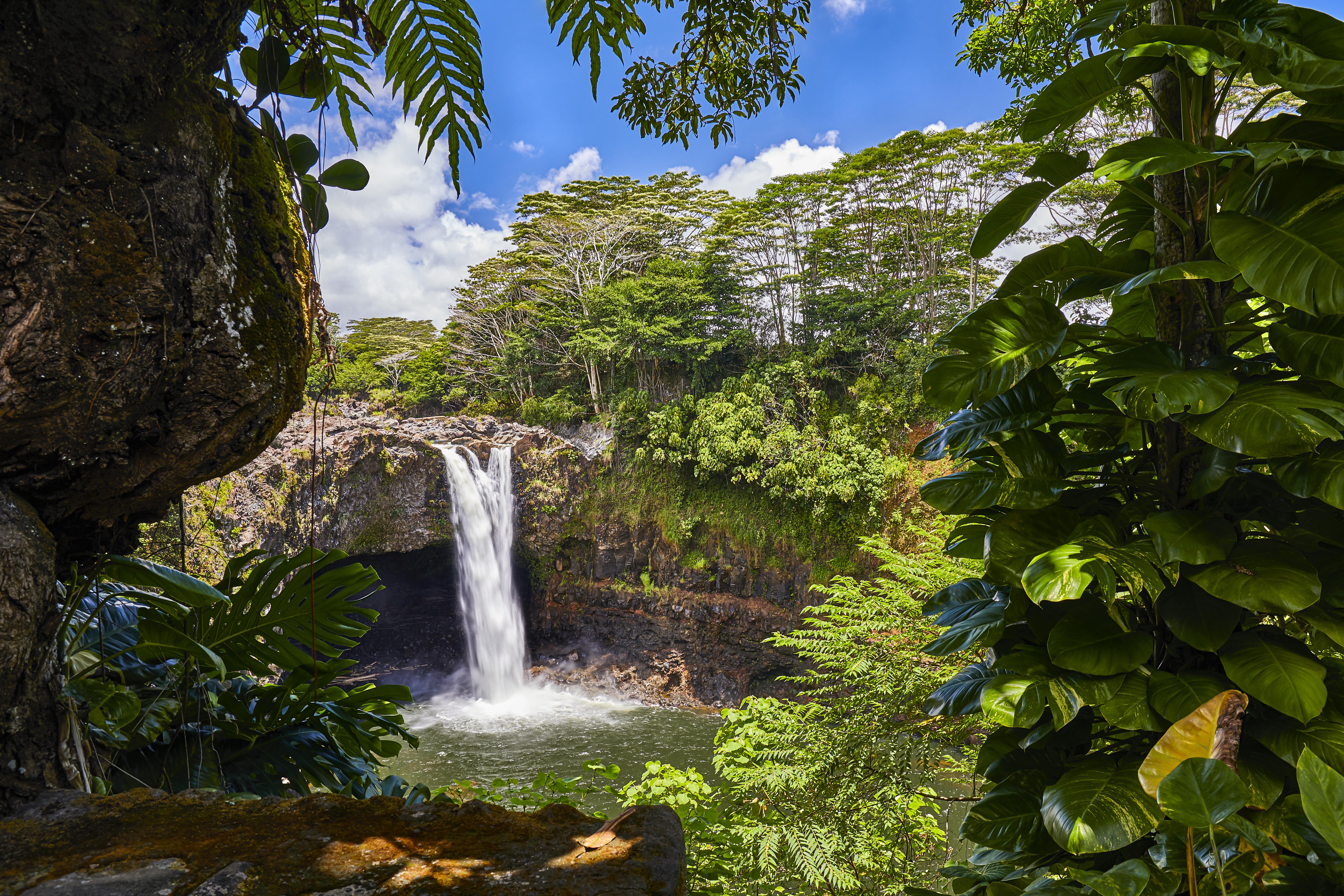 Image of the scenic nature landscape of Hilo, Hawaii.