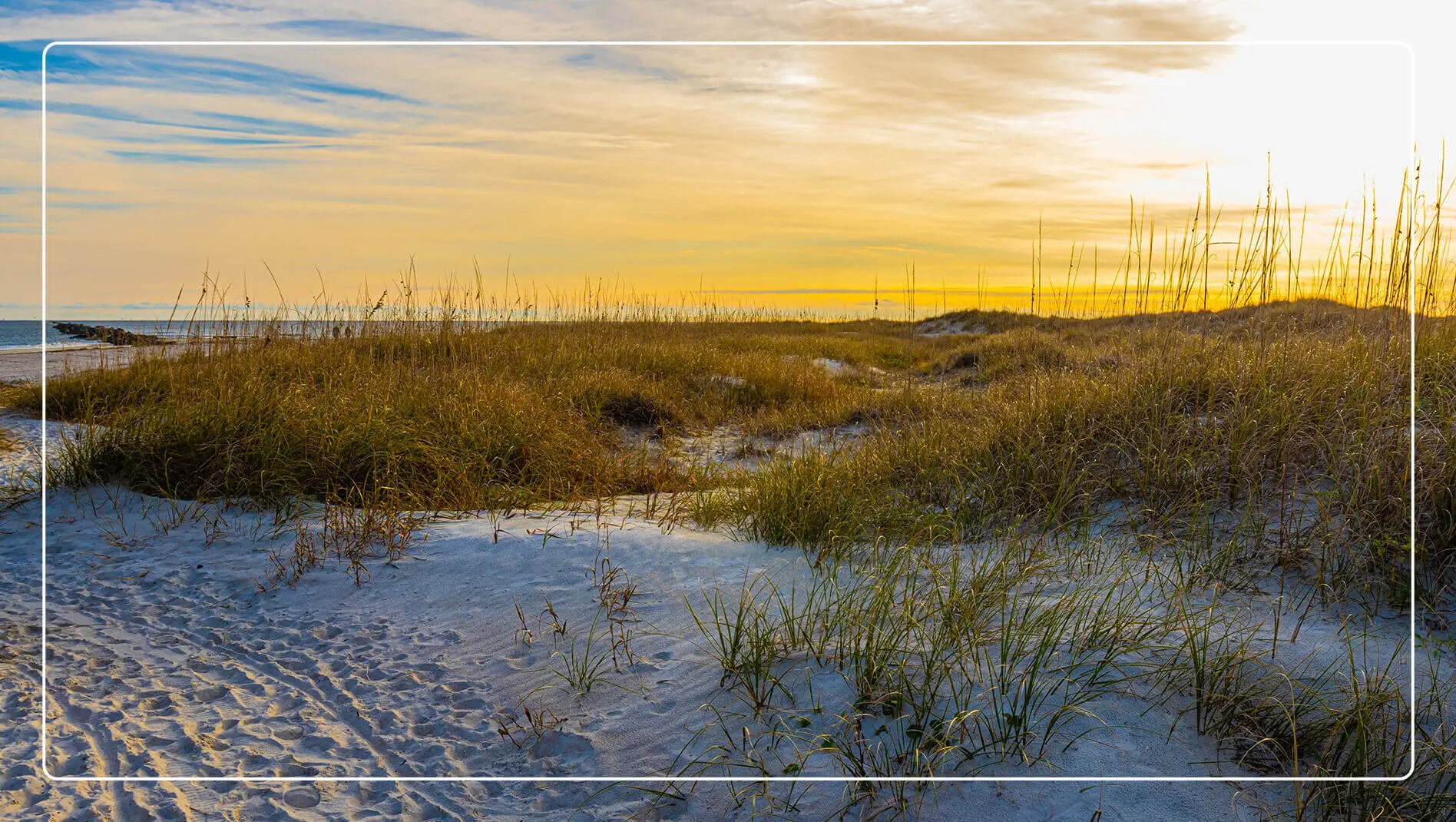 The sand dunes at Fernandina Beach.