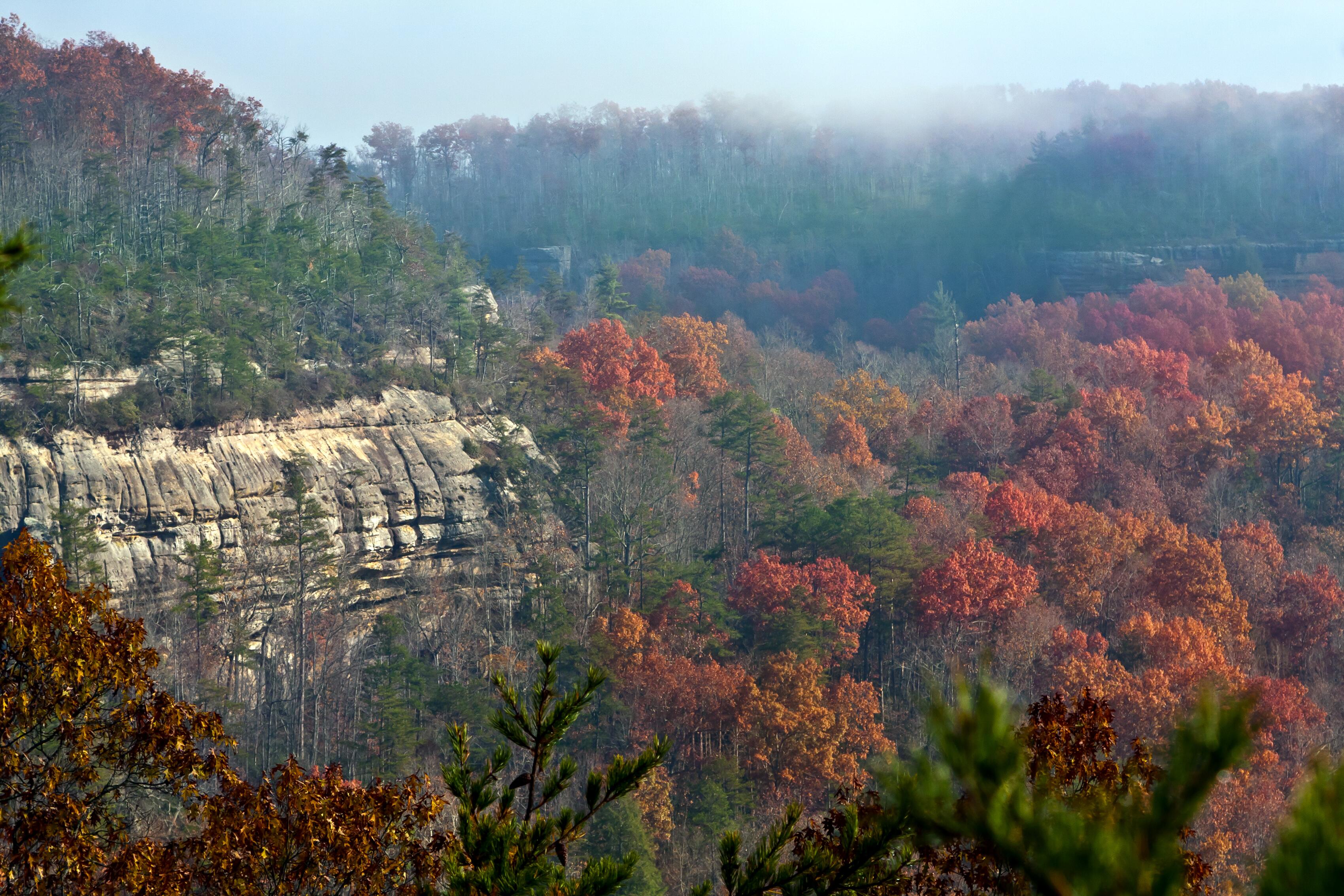 Cumberland Plateau