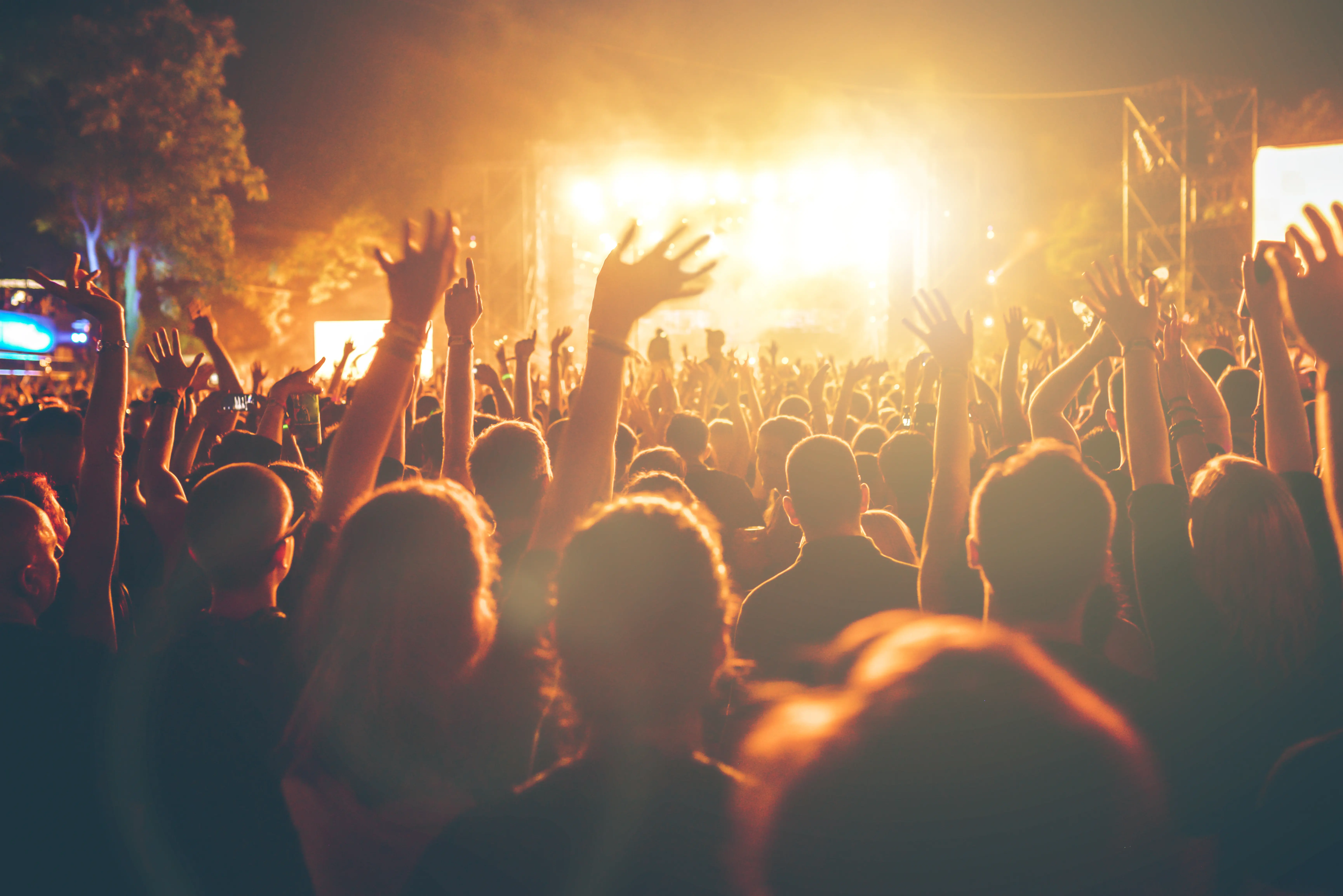 Music festival crowd