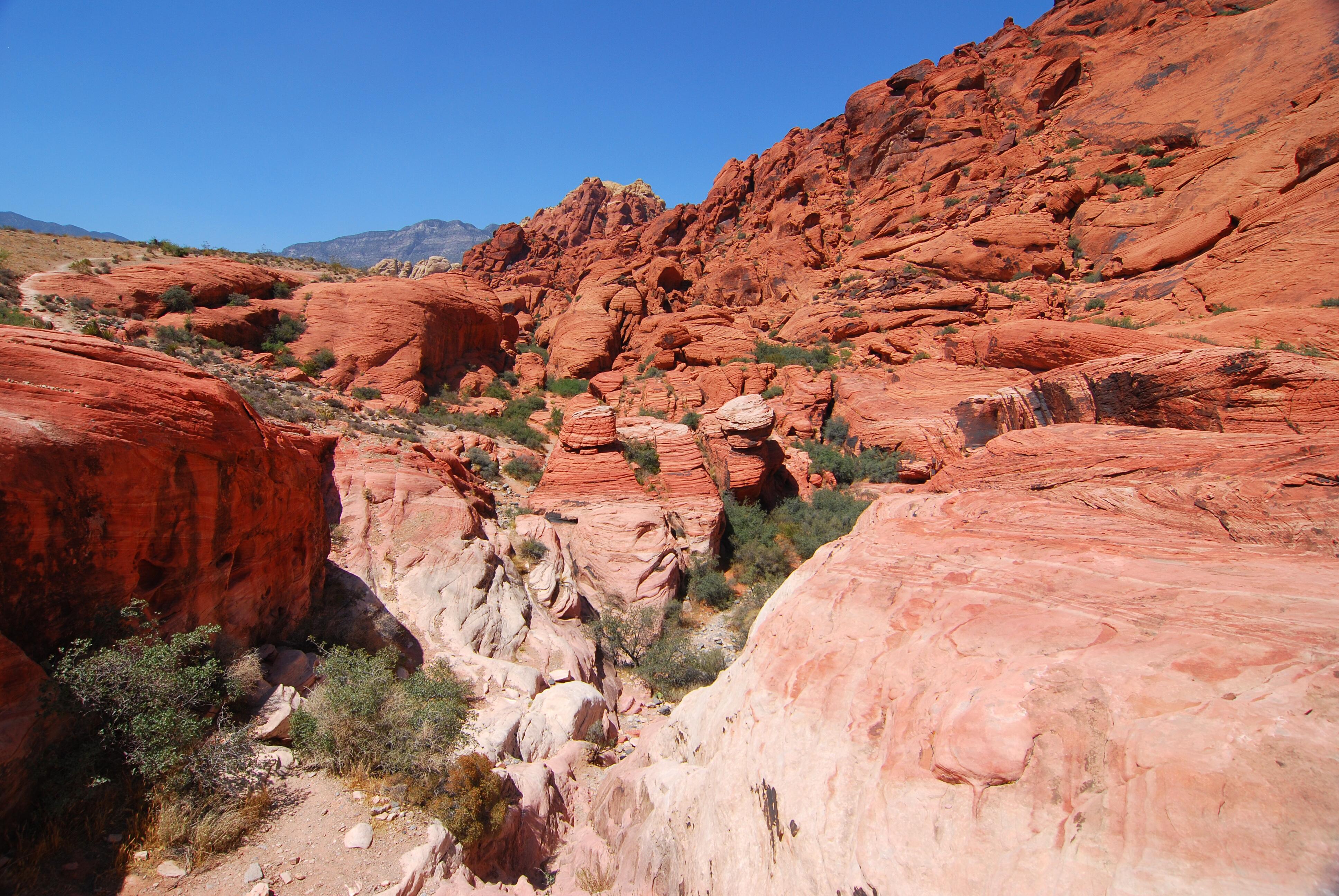 Outdoor image of the scenic landscape at Red Rock Canyon National Conservation Area.