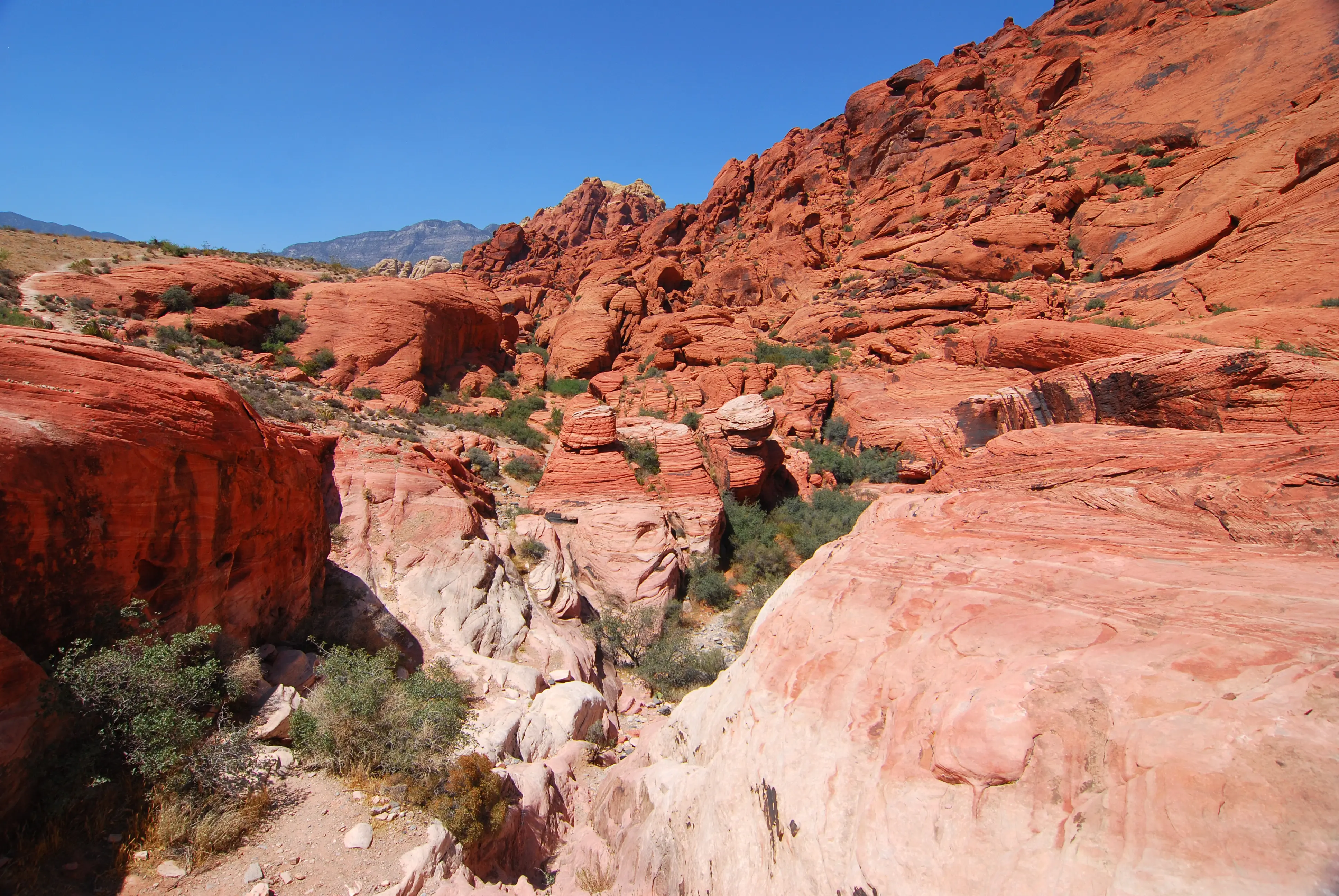 Outdoor image of the scenic landscape at Red Rock Canyon National Conservation Area.
