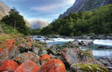 Spectacular New Zealand