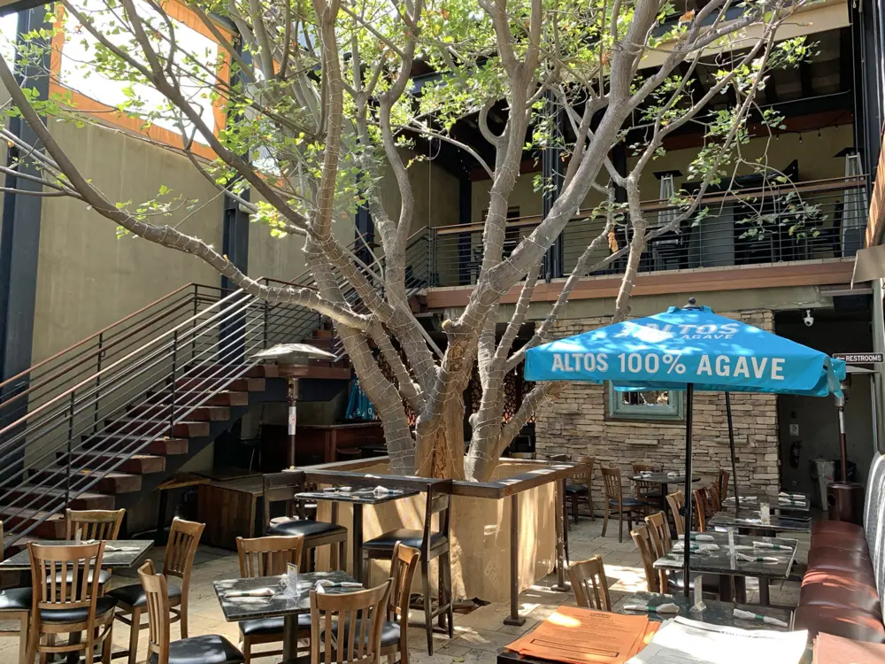 The restaurant is a great place to watch live performances indoors or to relax on the patio beneath a California coral tree.