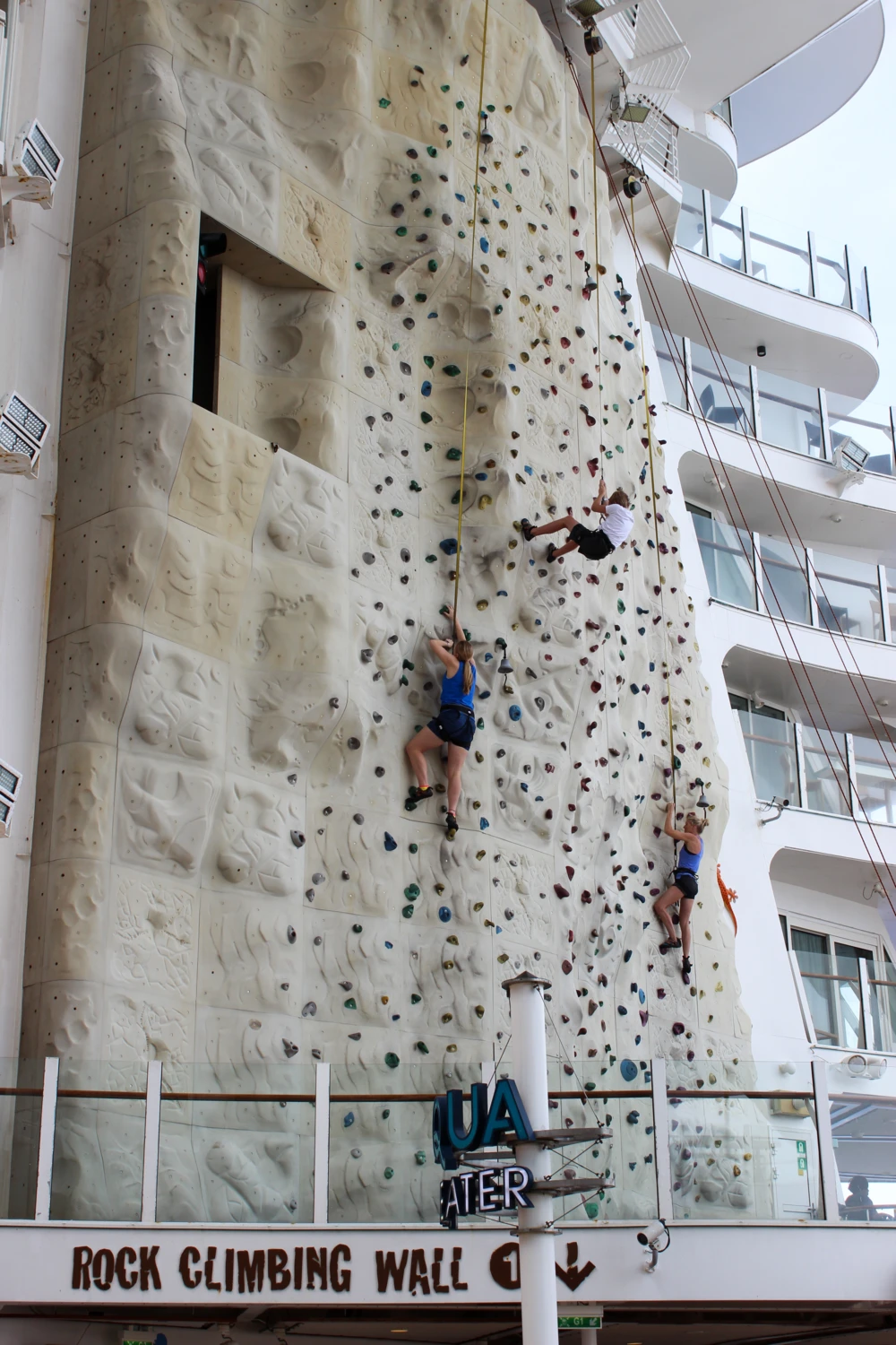 Cruise Rock Climbing Wall
